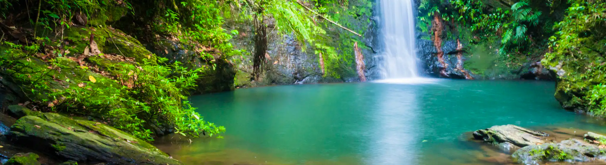 Explore Cockscomb Basin Wildlife Sanctuary in Belize with a Private Driver with a Daytrip Car Trip
