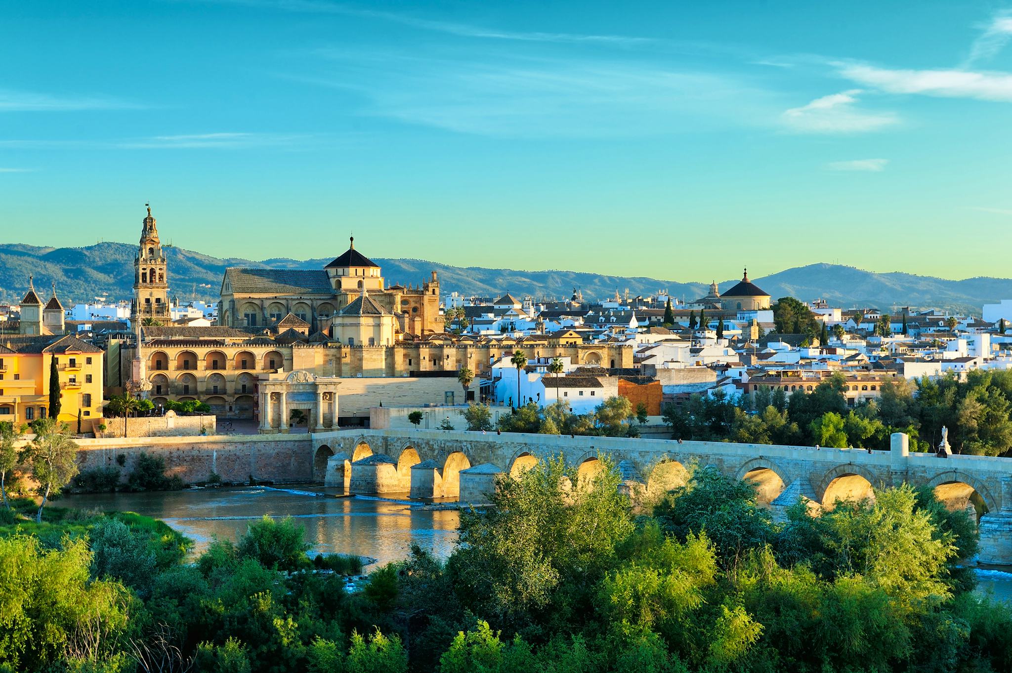 Motril to Cordoba: Private day trip