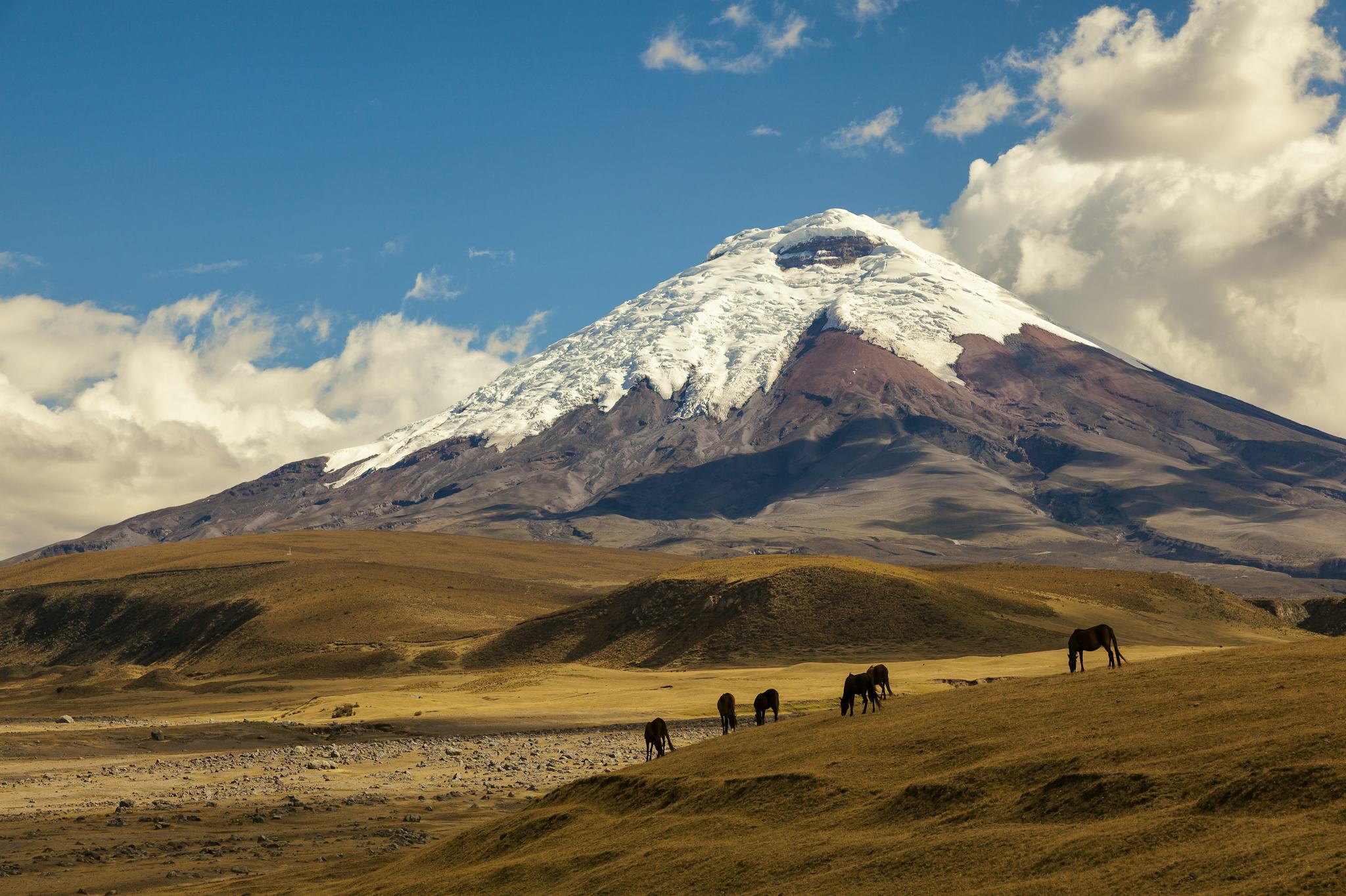 Quito to Cotopaxi National Park: Private day trip