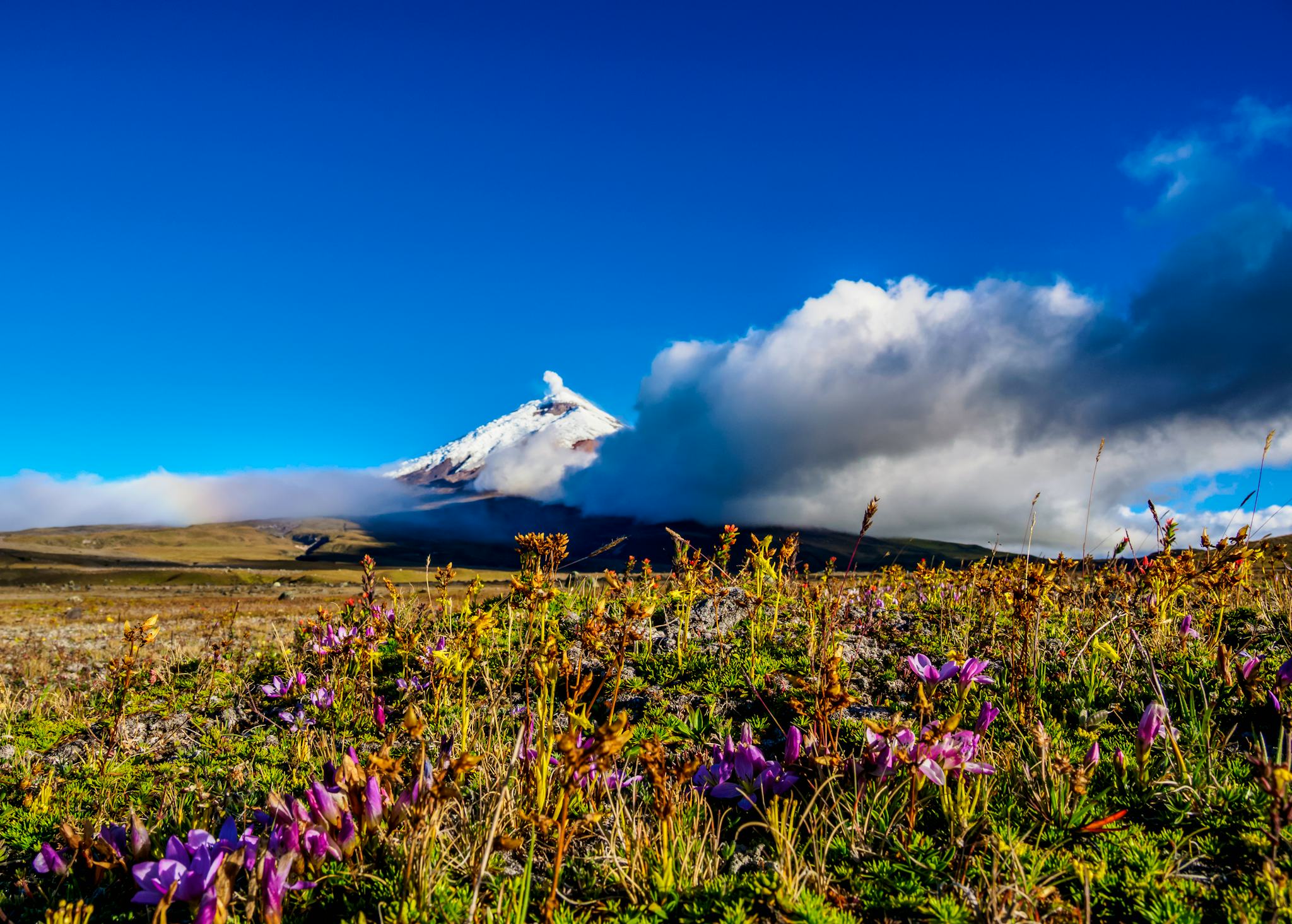 Cotopaxi National Park