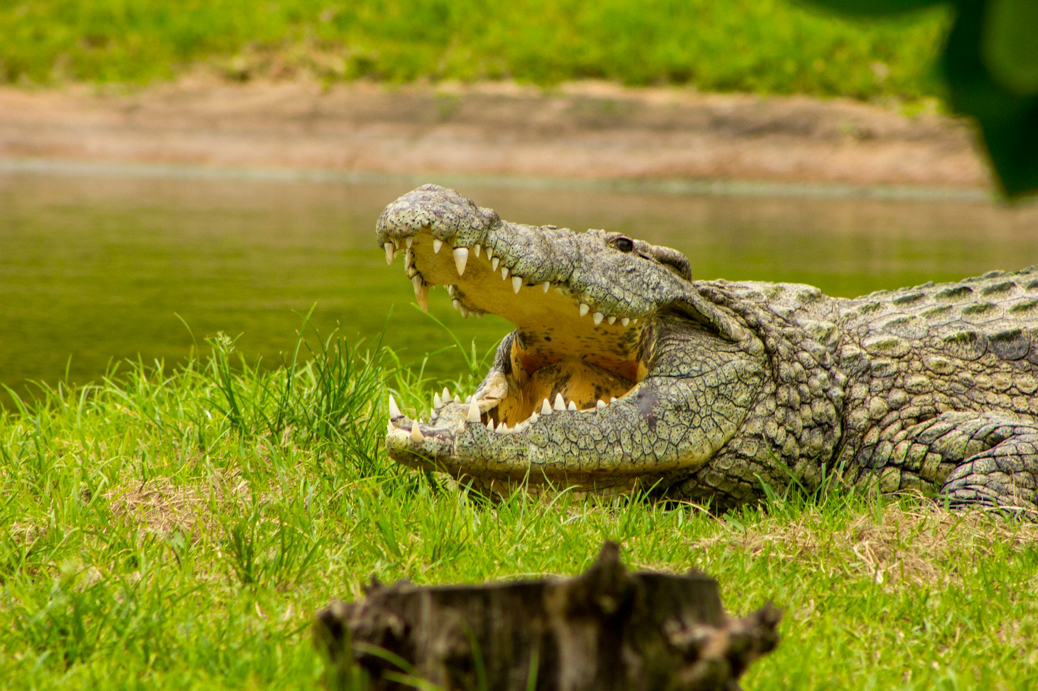 Crocworld Conservation Centre