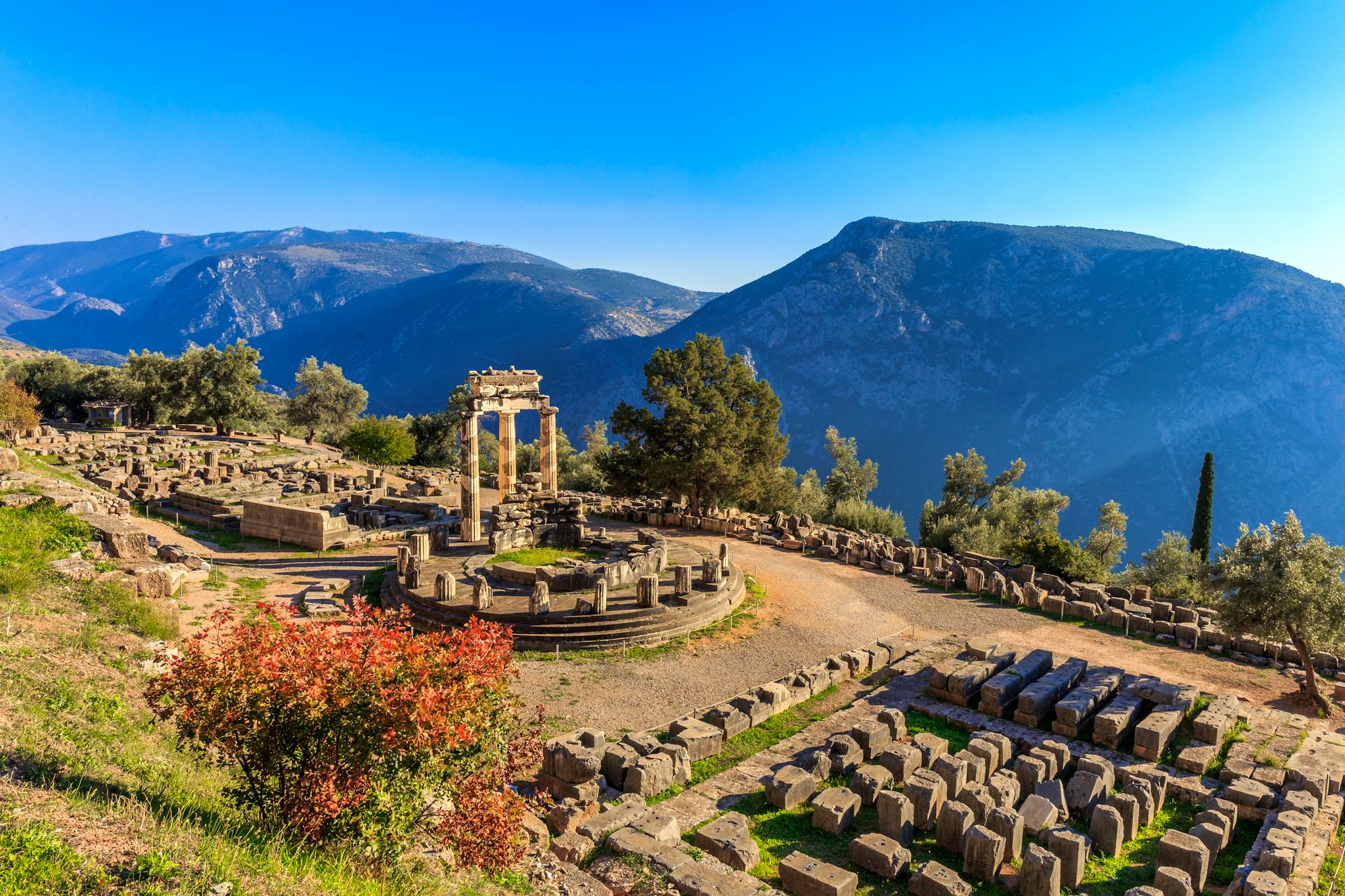 Piraeus to Delphi: Private day trip