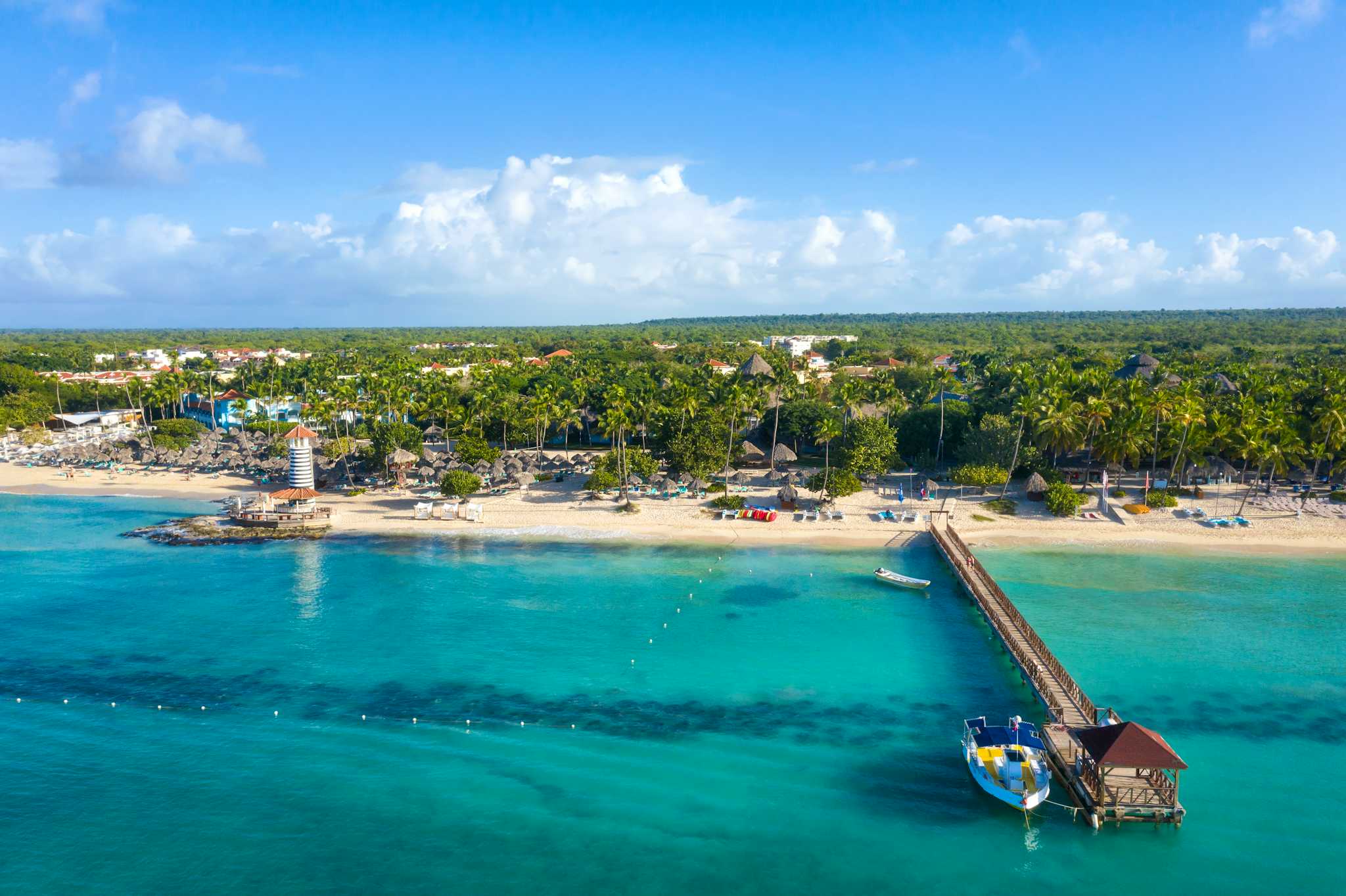 Dominicus