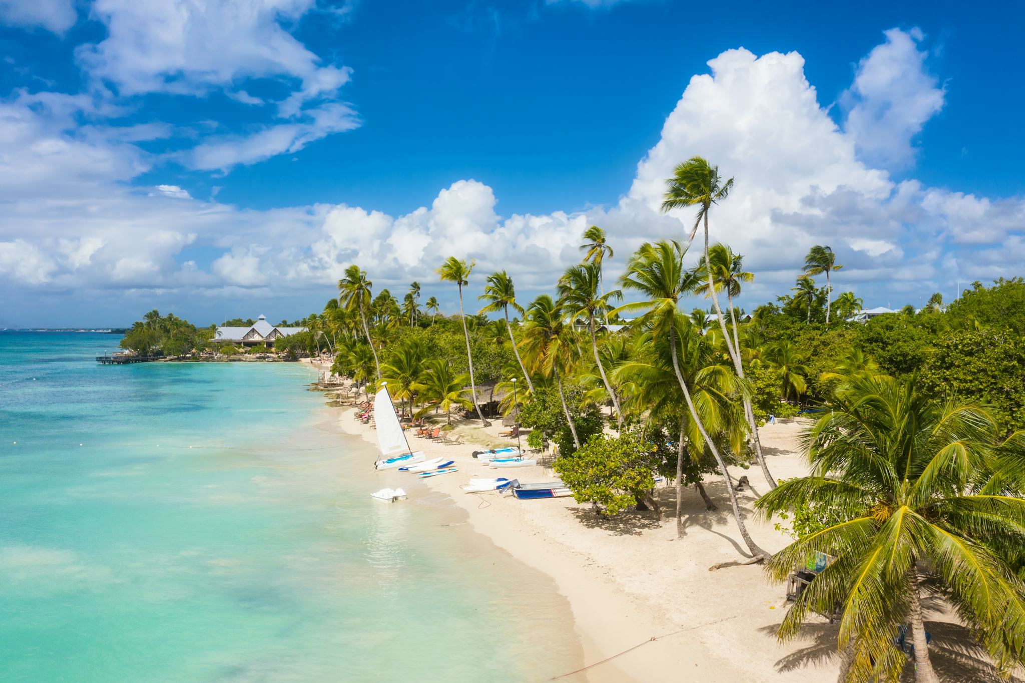 Dominicus
