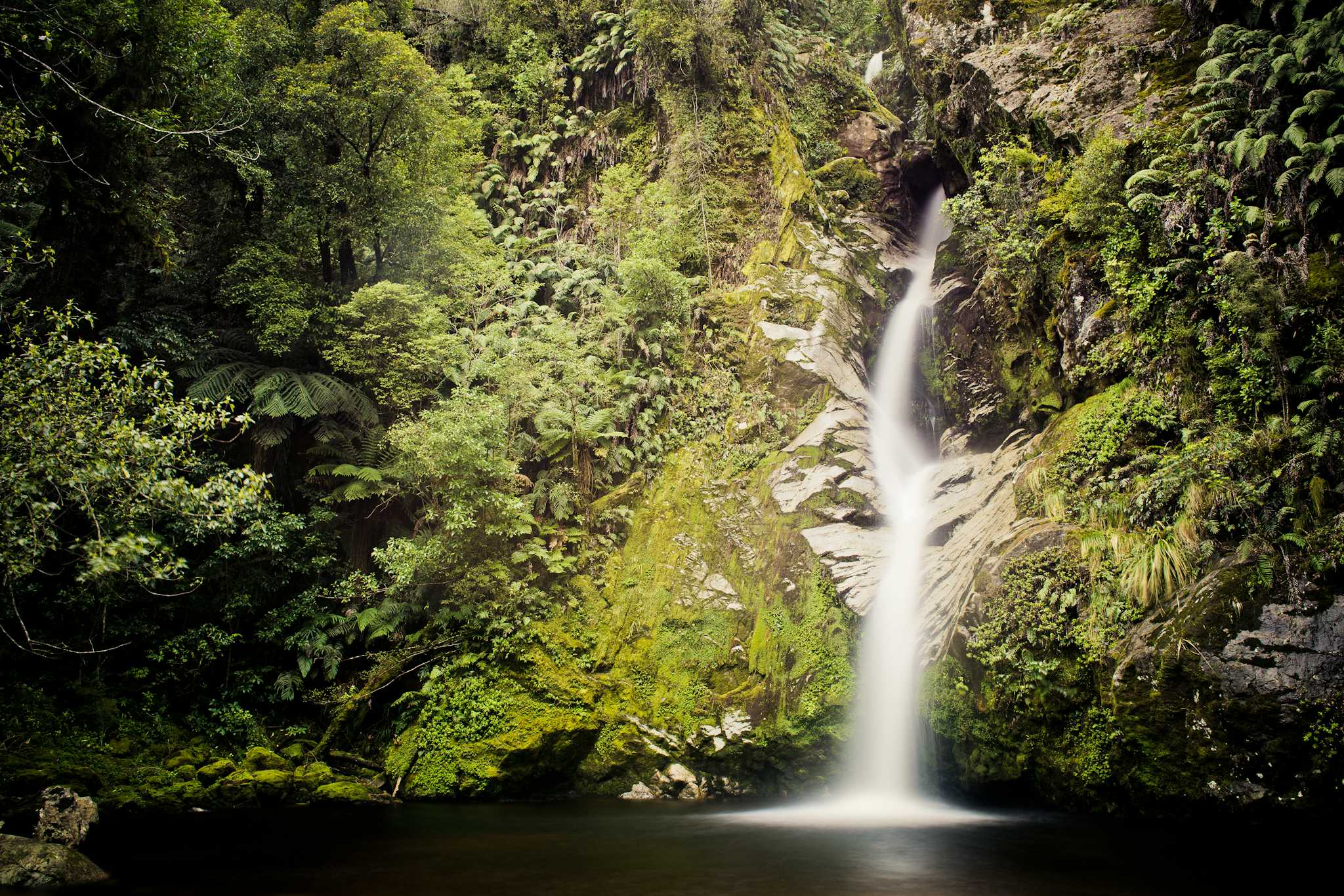 Dorothy Falls and Lake Kaniere