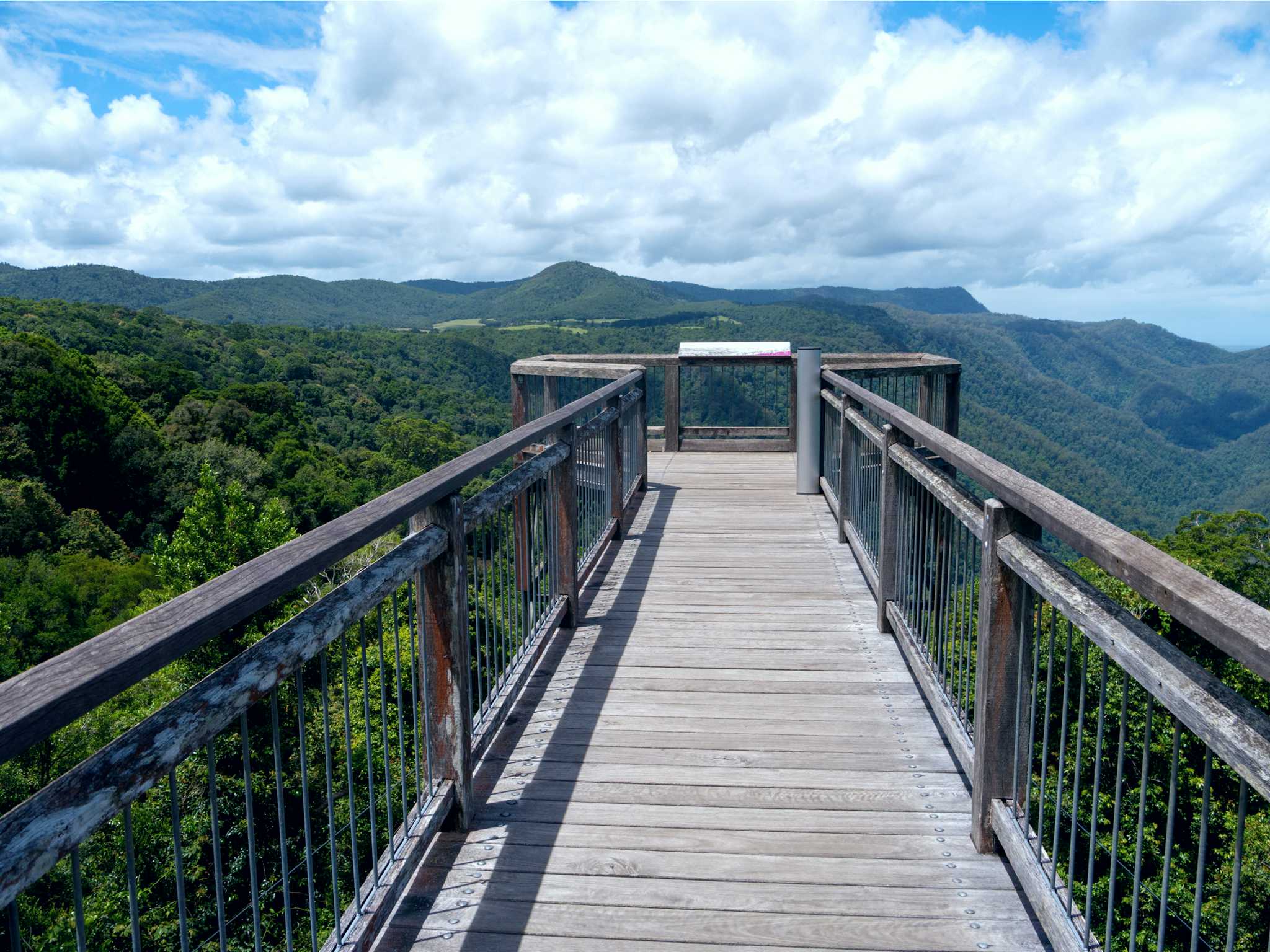 Dorrigo National Park