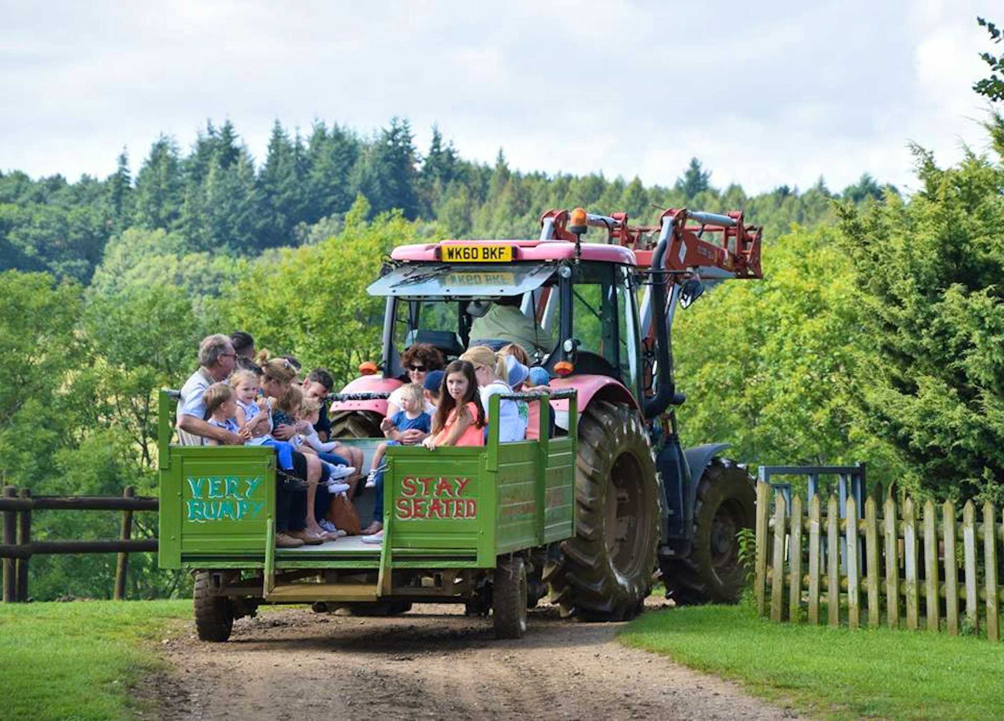 Dorset Heavy Horse Farm Park