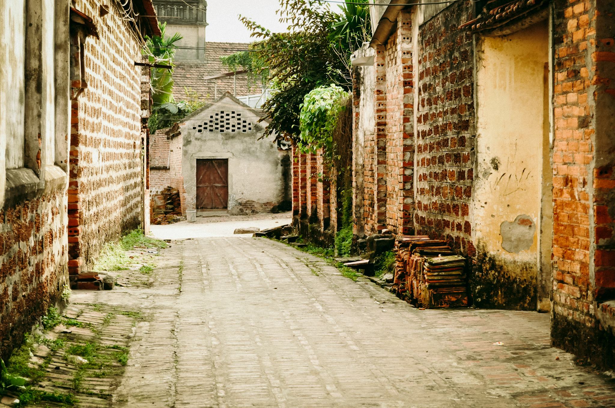 Duong Lam