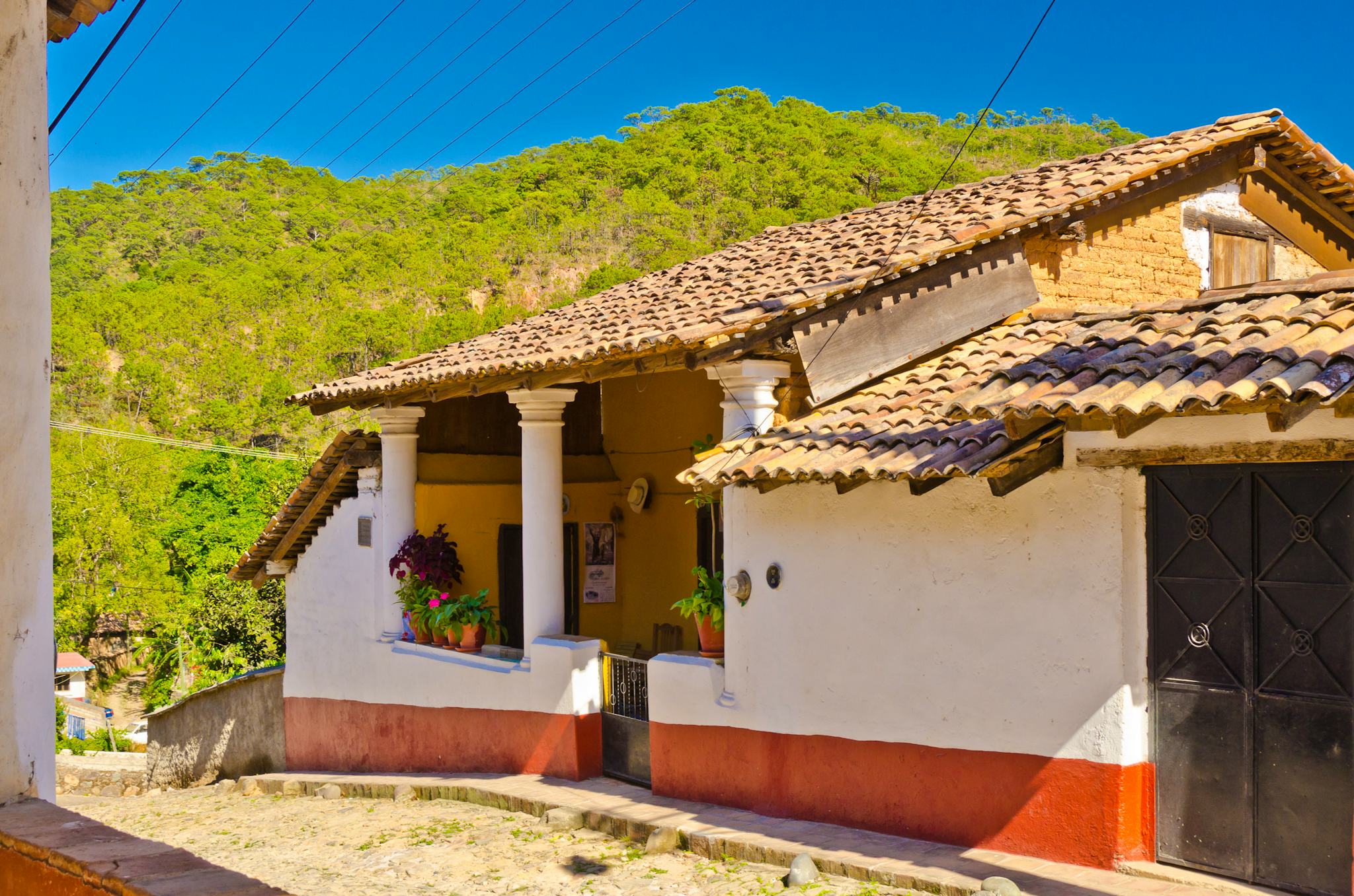 Puerto Vallarta to El Tuito and Vallarta Gardens: Day trip