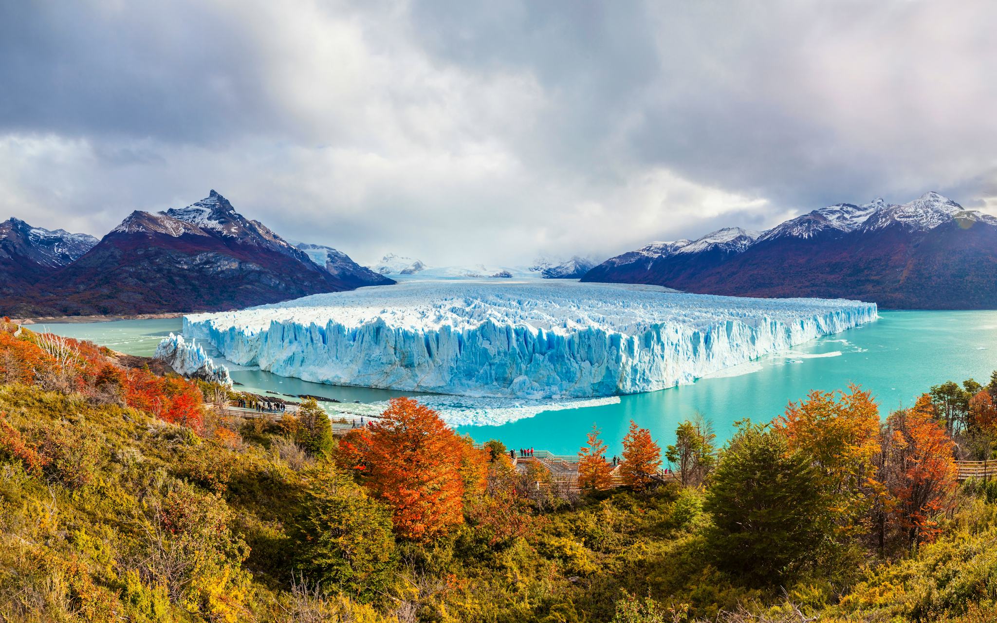 El Calafate 到 Lago Grey