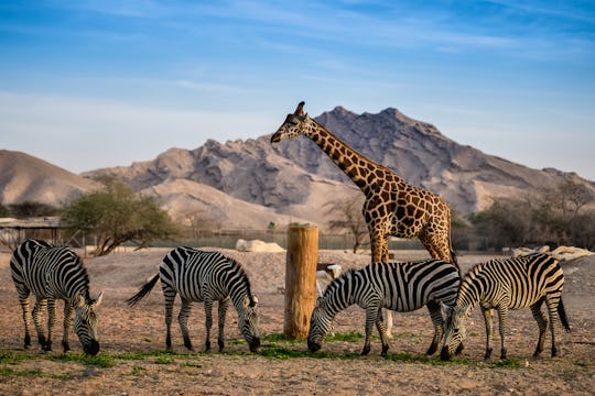 Emirates Park Zoo
