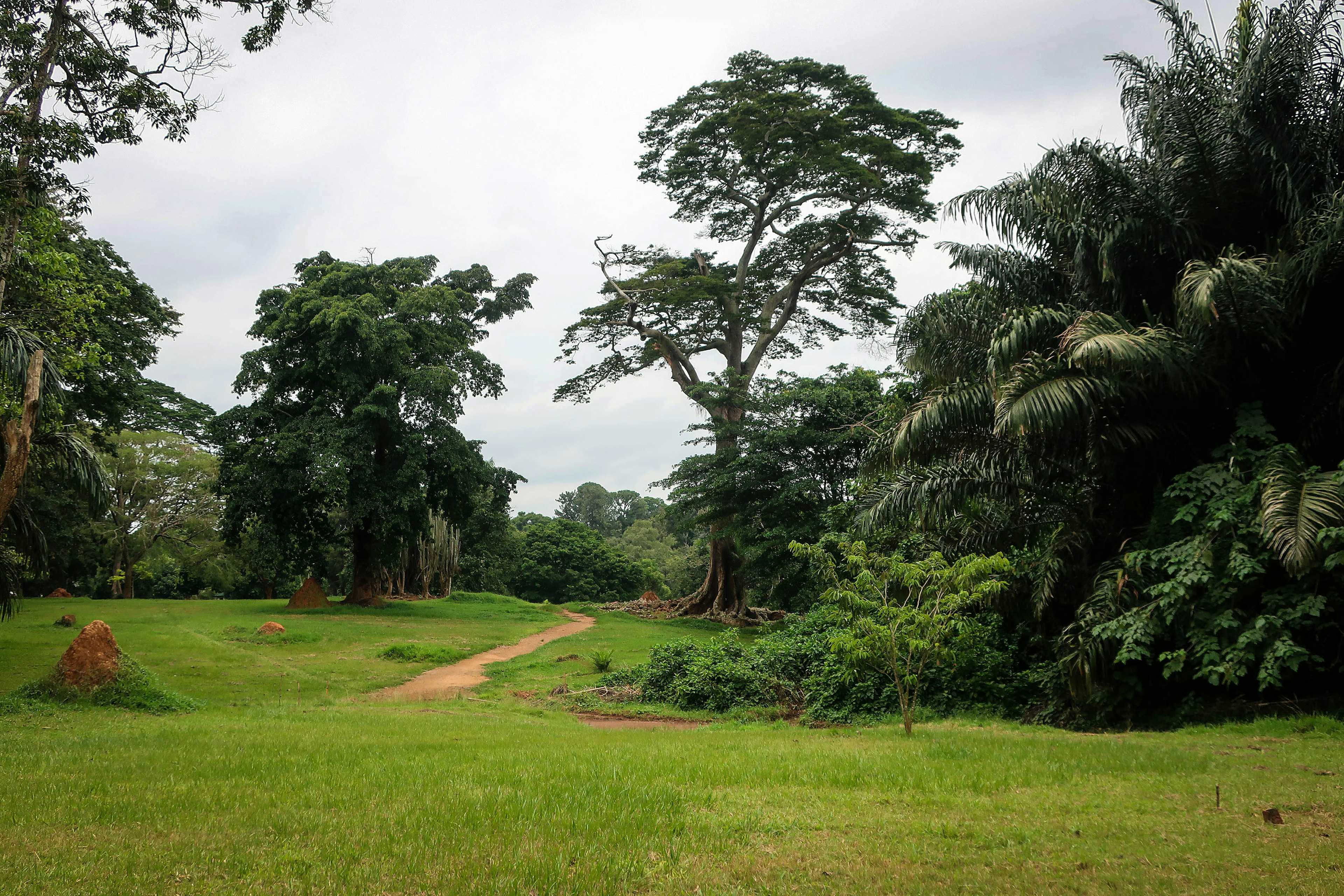Entebbe Botanical Gardens