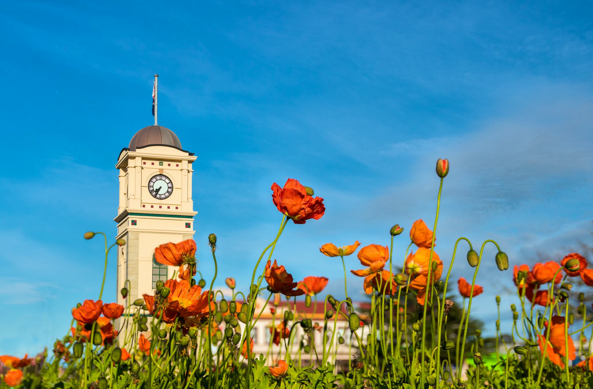 Feilding