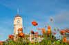 Feilding