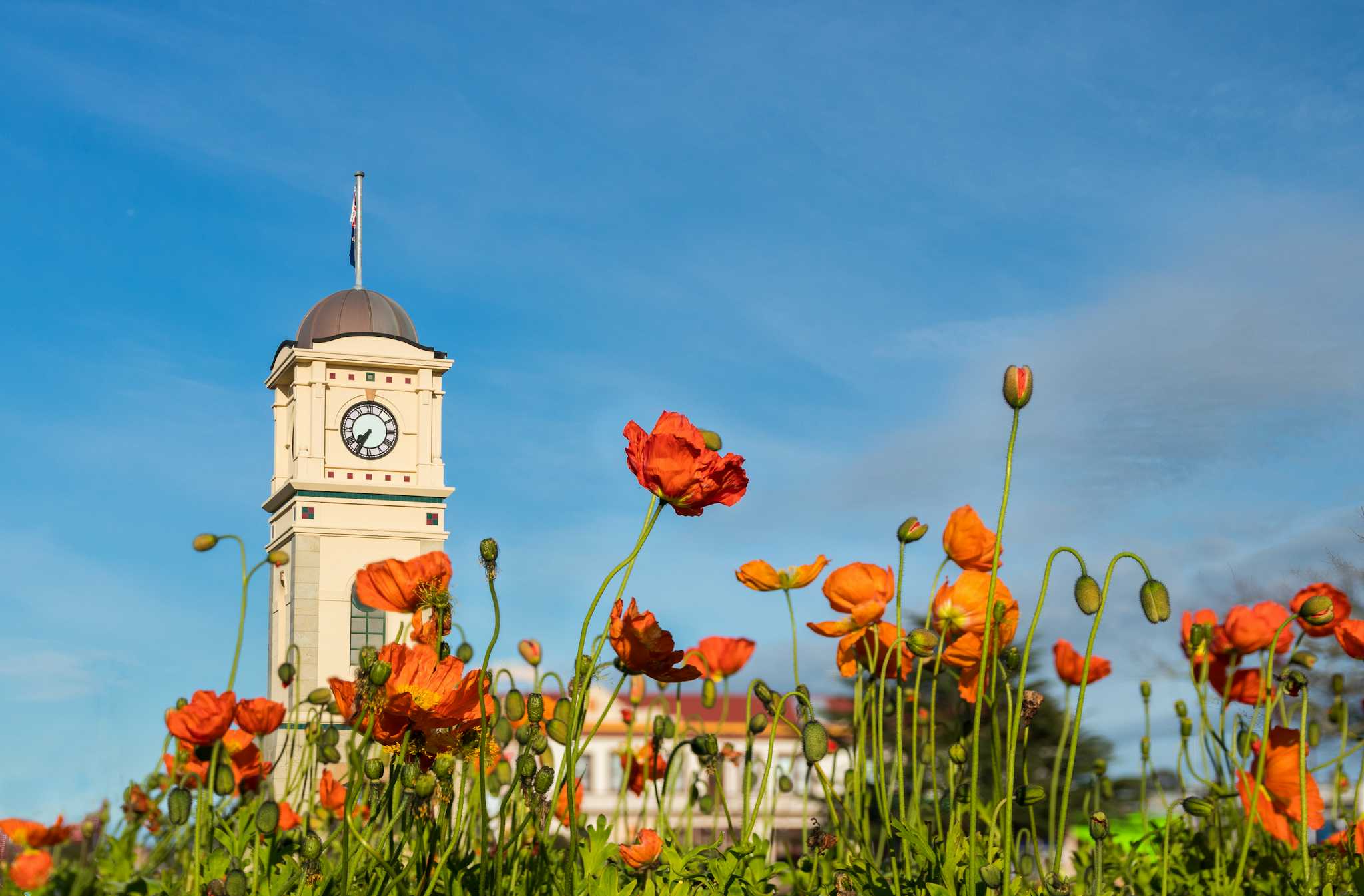 Feilding