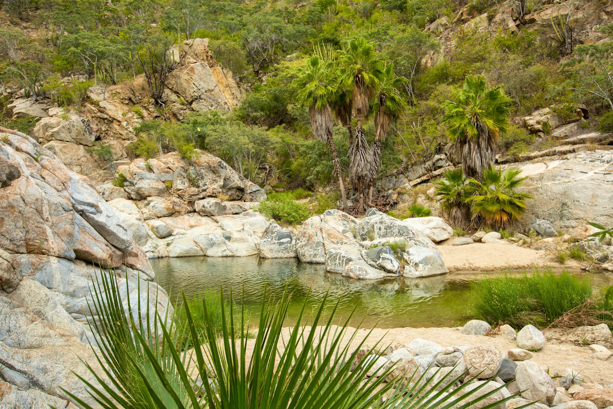 Fox Canyon