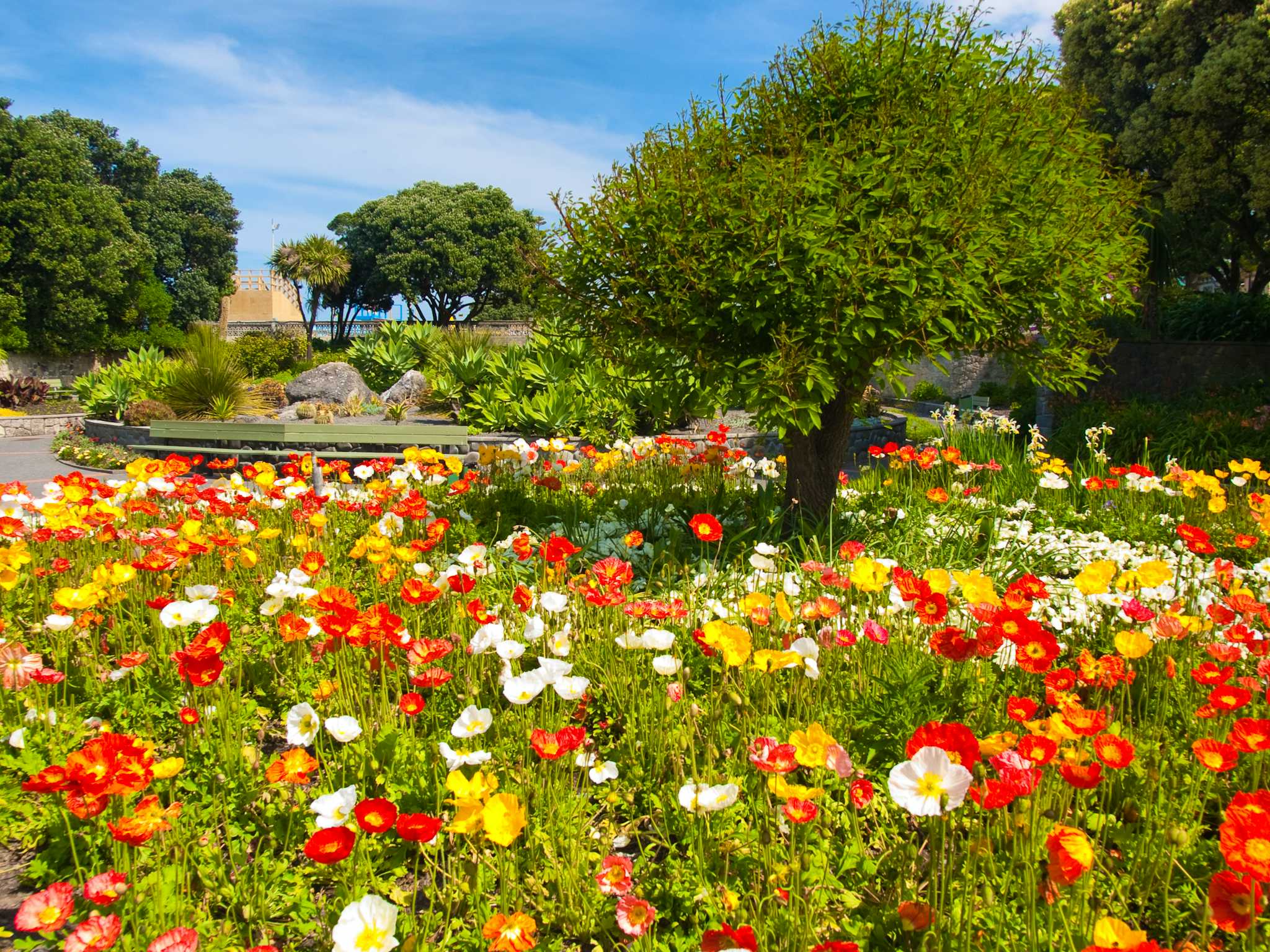 Gardens of the World