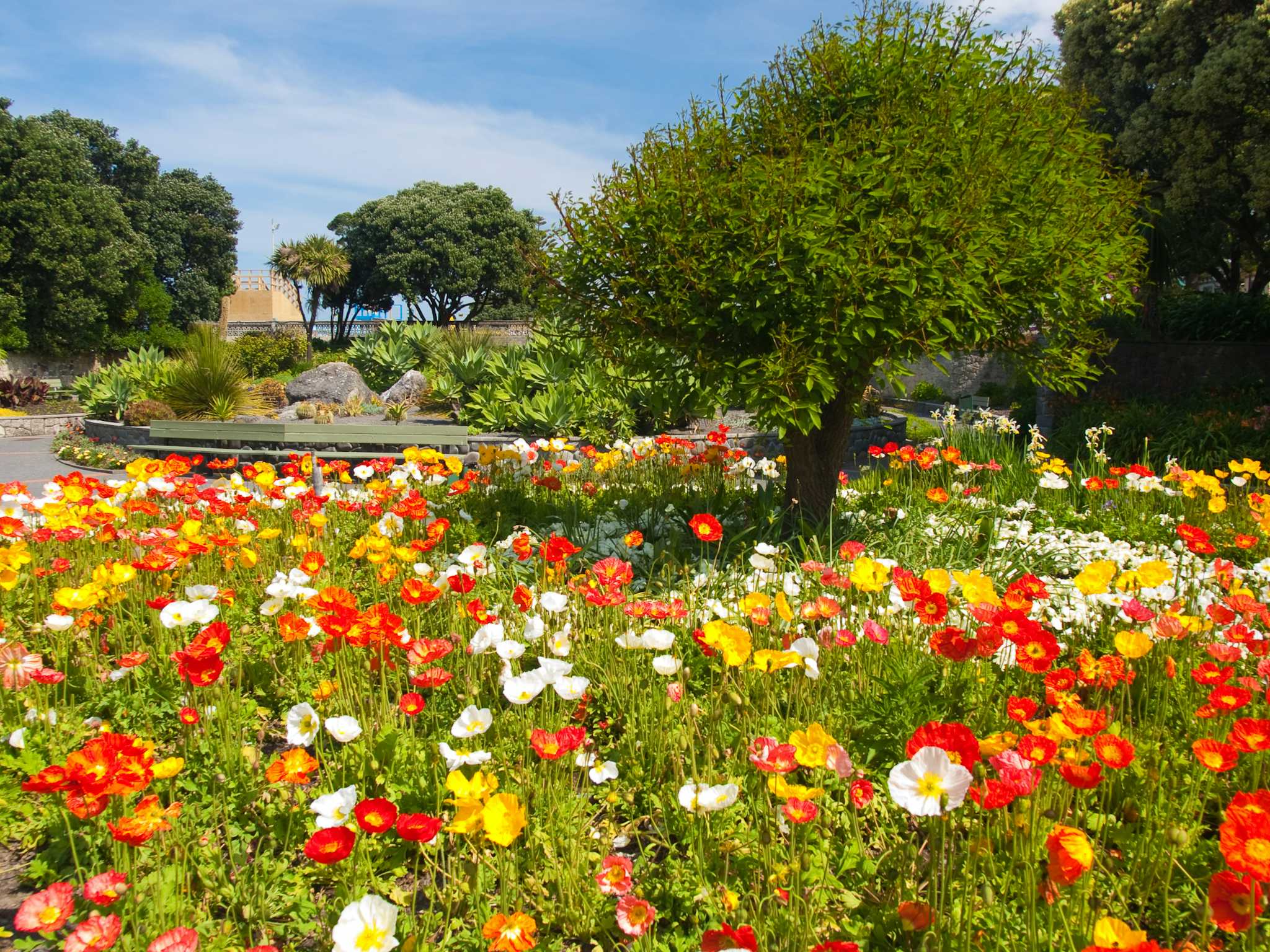 Gardens of the World