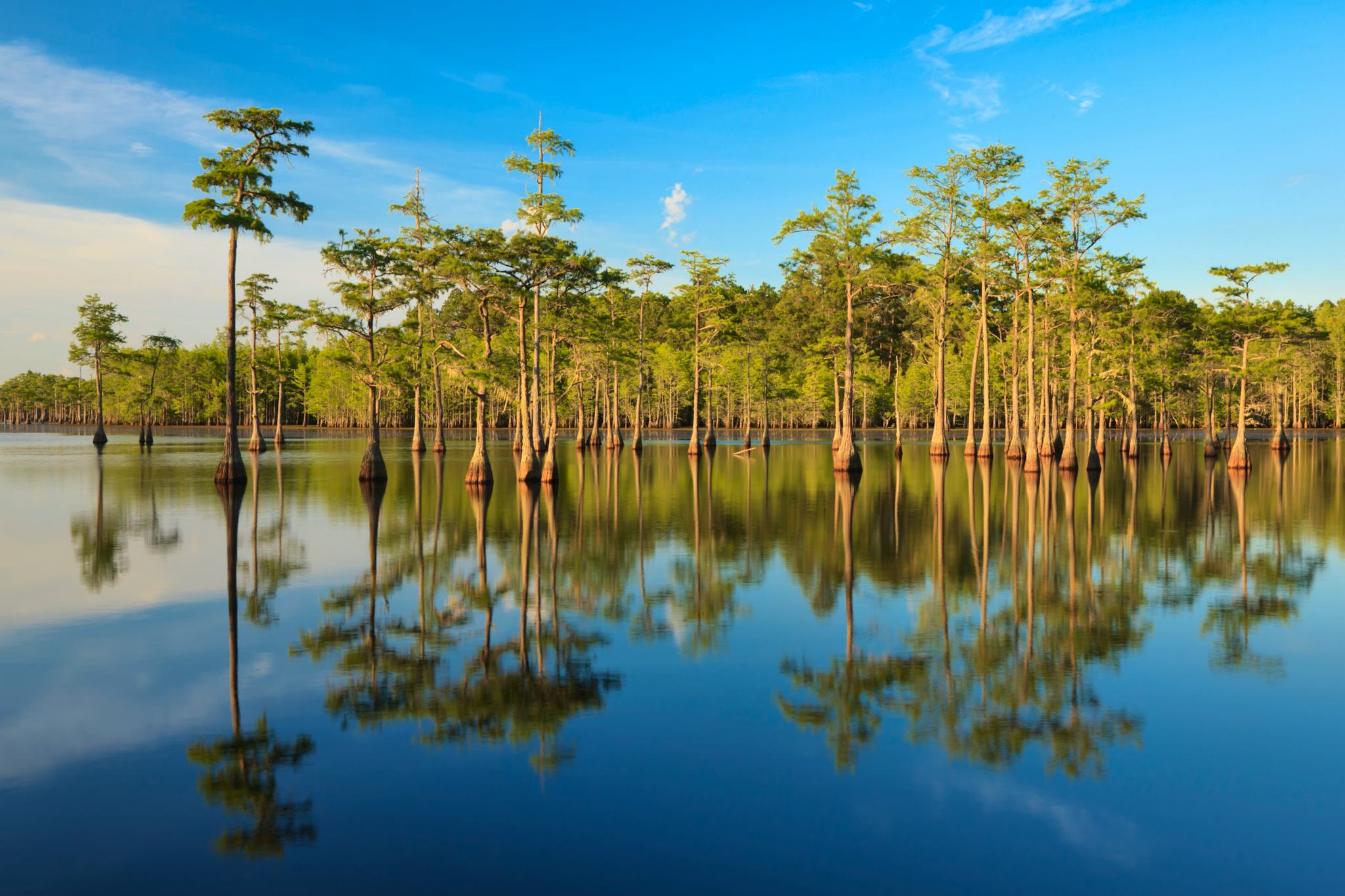 George L. Smith State Park