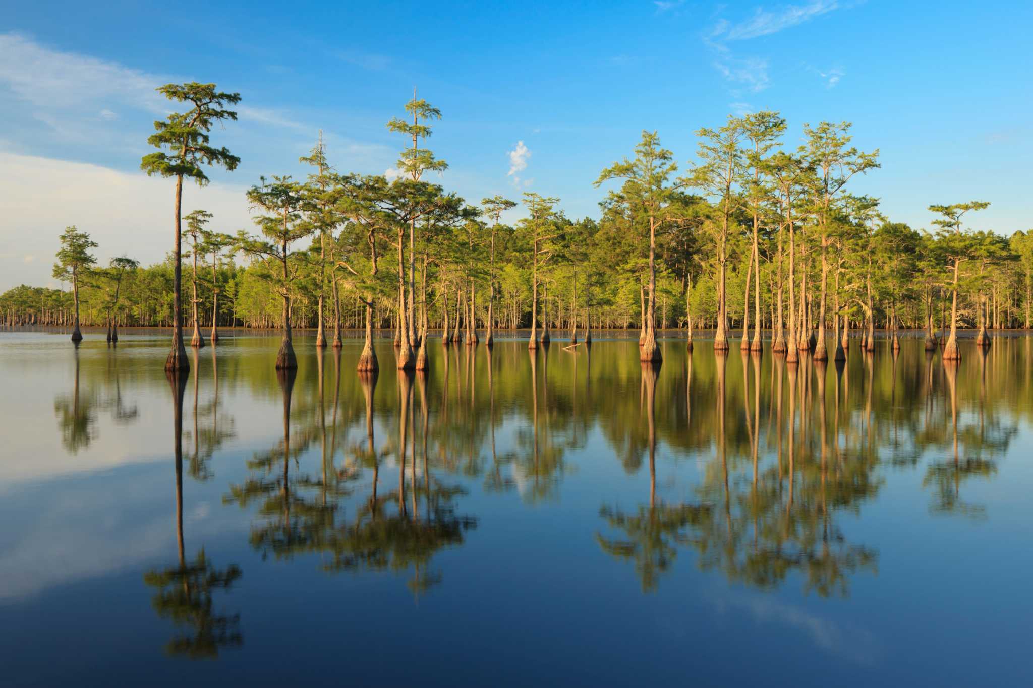 George L. Smith State Park