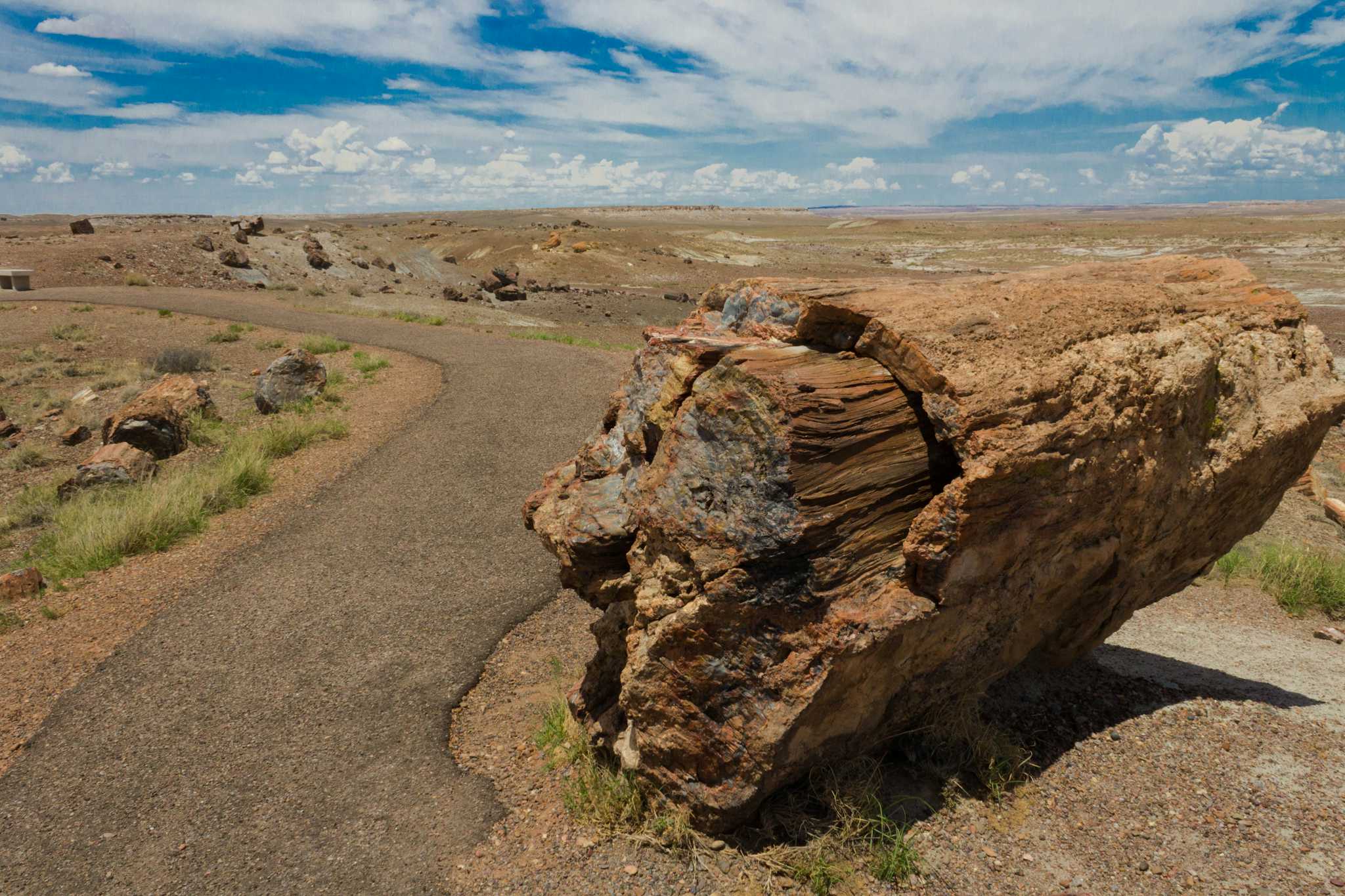 Giant Logs Loop