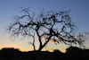 Gobabis