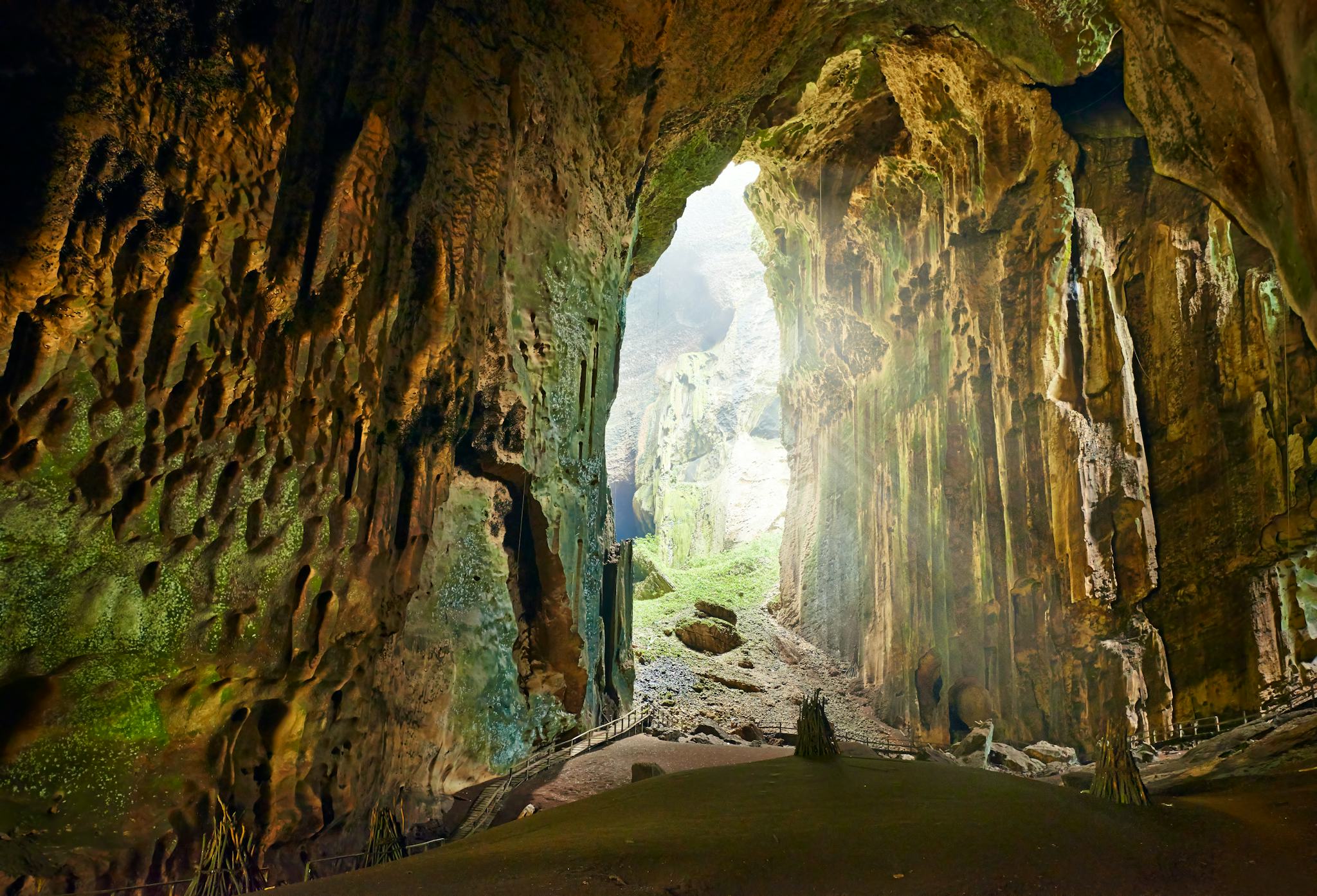 Cuevas de Gomantong