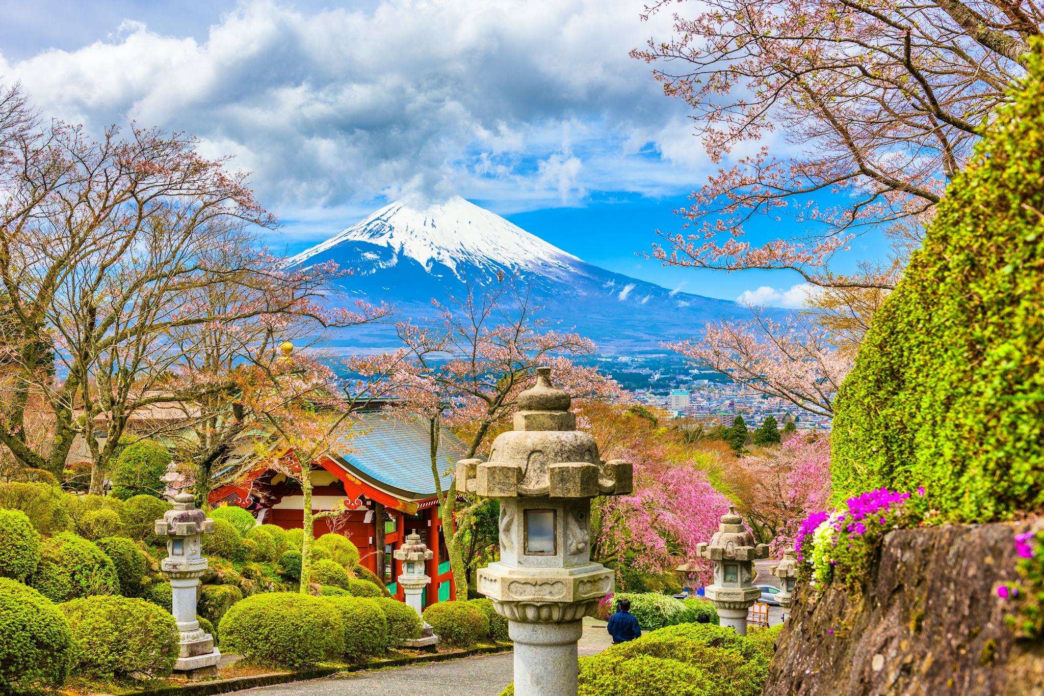 Tokyo to Gotemba: Private day trip