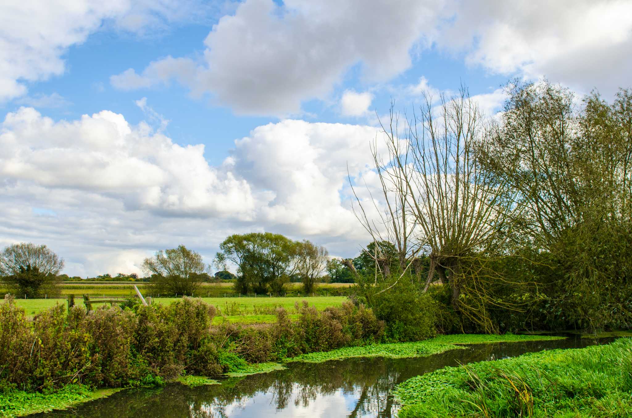 Pueblo de Grantchester