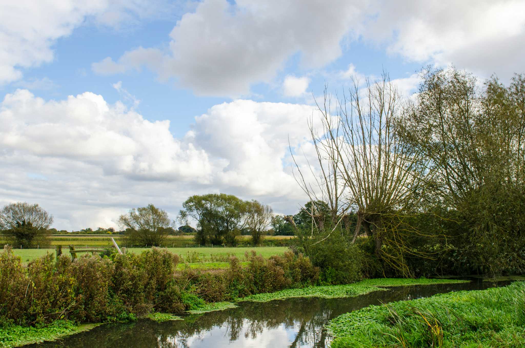 Grantchester Village