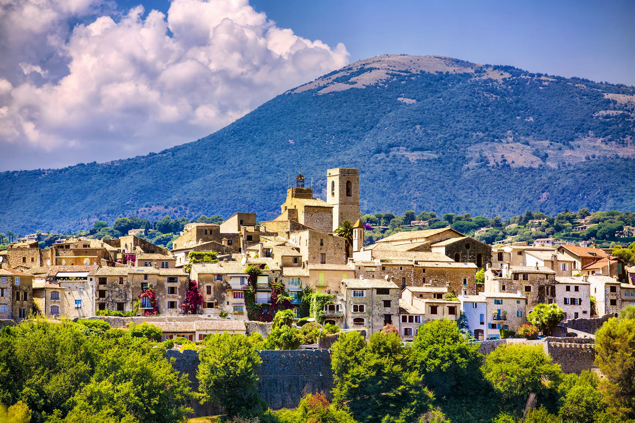 Nice to Grasse and Gourdon: Private day trip