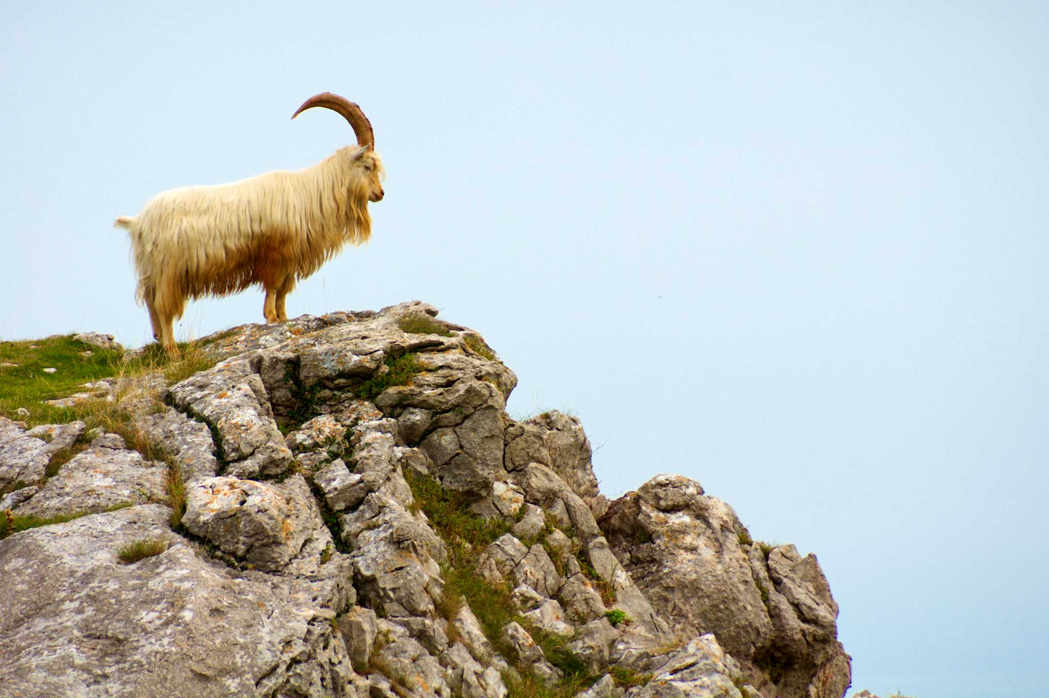 Great Orme