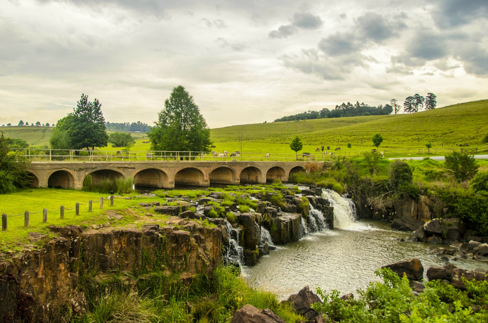 Greytown
