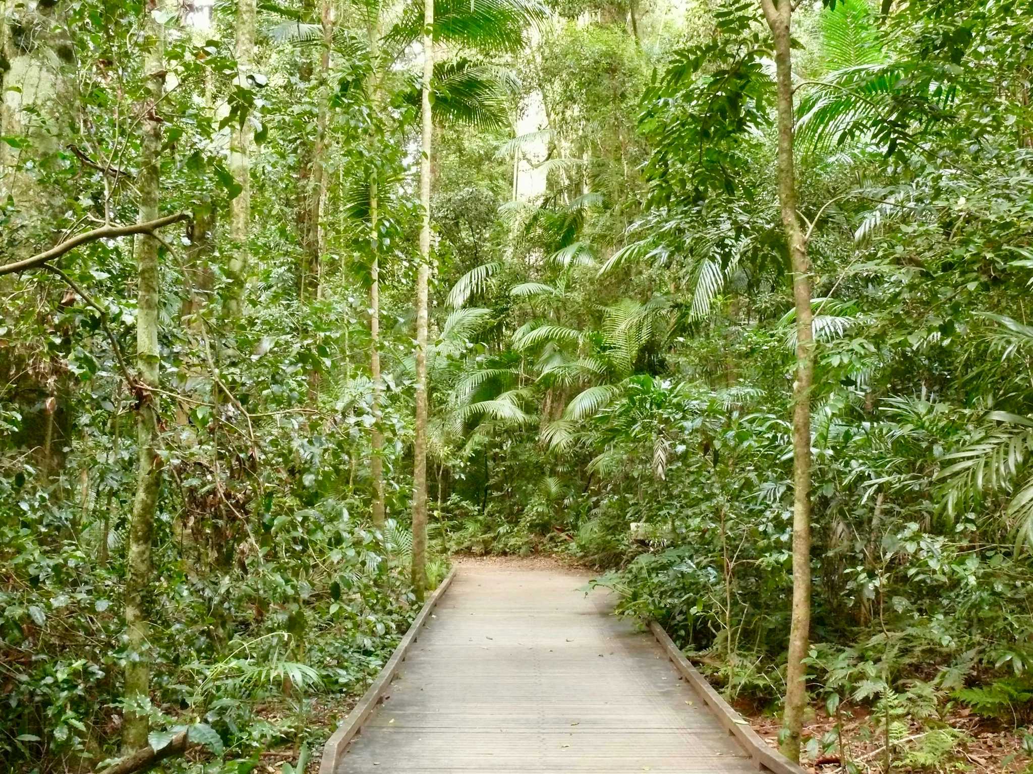 The Grove Scenic Reserve