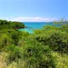 Guanica State Forest