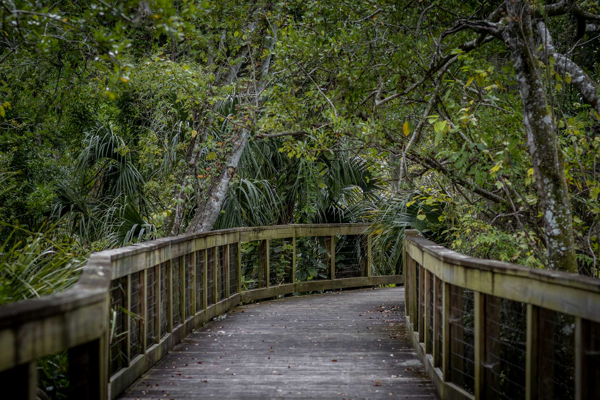 Gumbo Limbo Nature Center