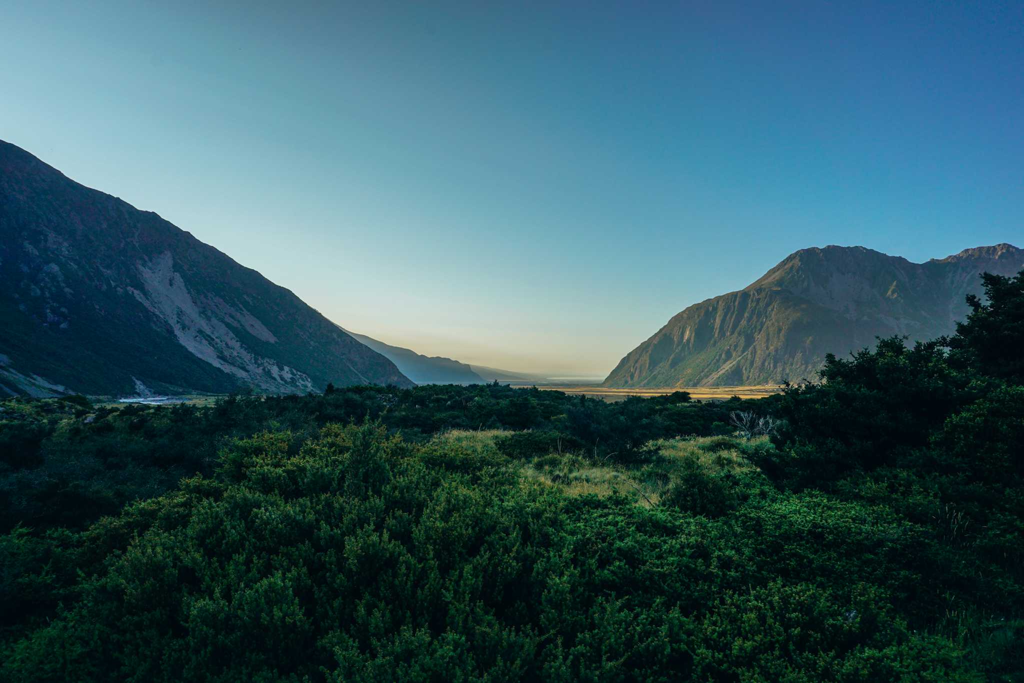 Haast Pass Lookout Track