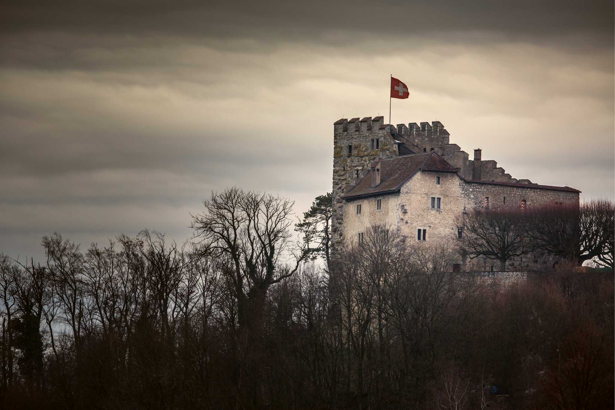 Habsburg Castle