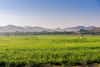 Hafar Al Batin