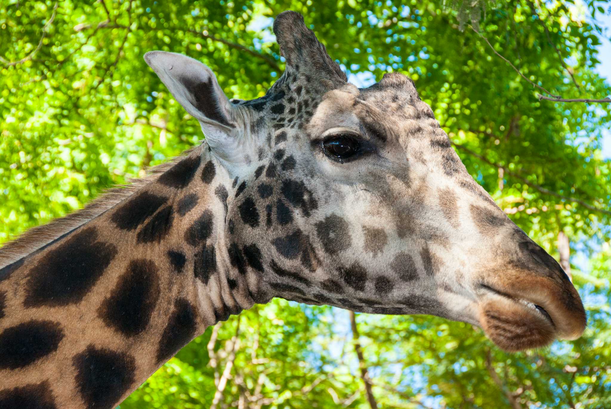 Haller Park Mombasa