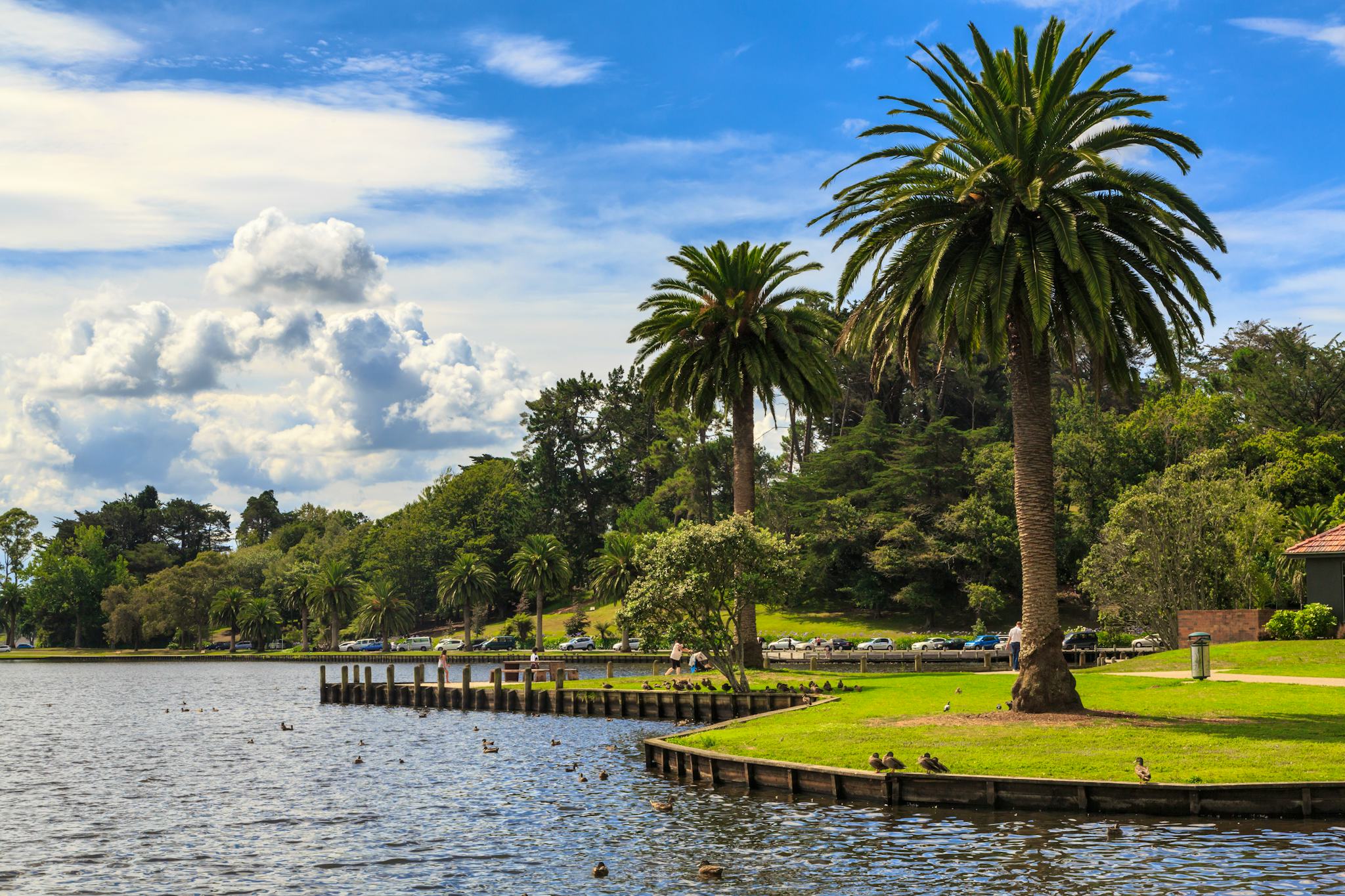 Auckland to Hamilton and Matamata: Private day trip