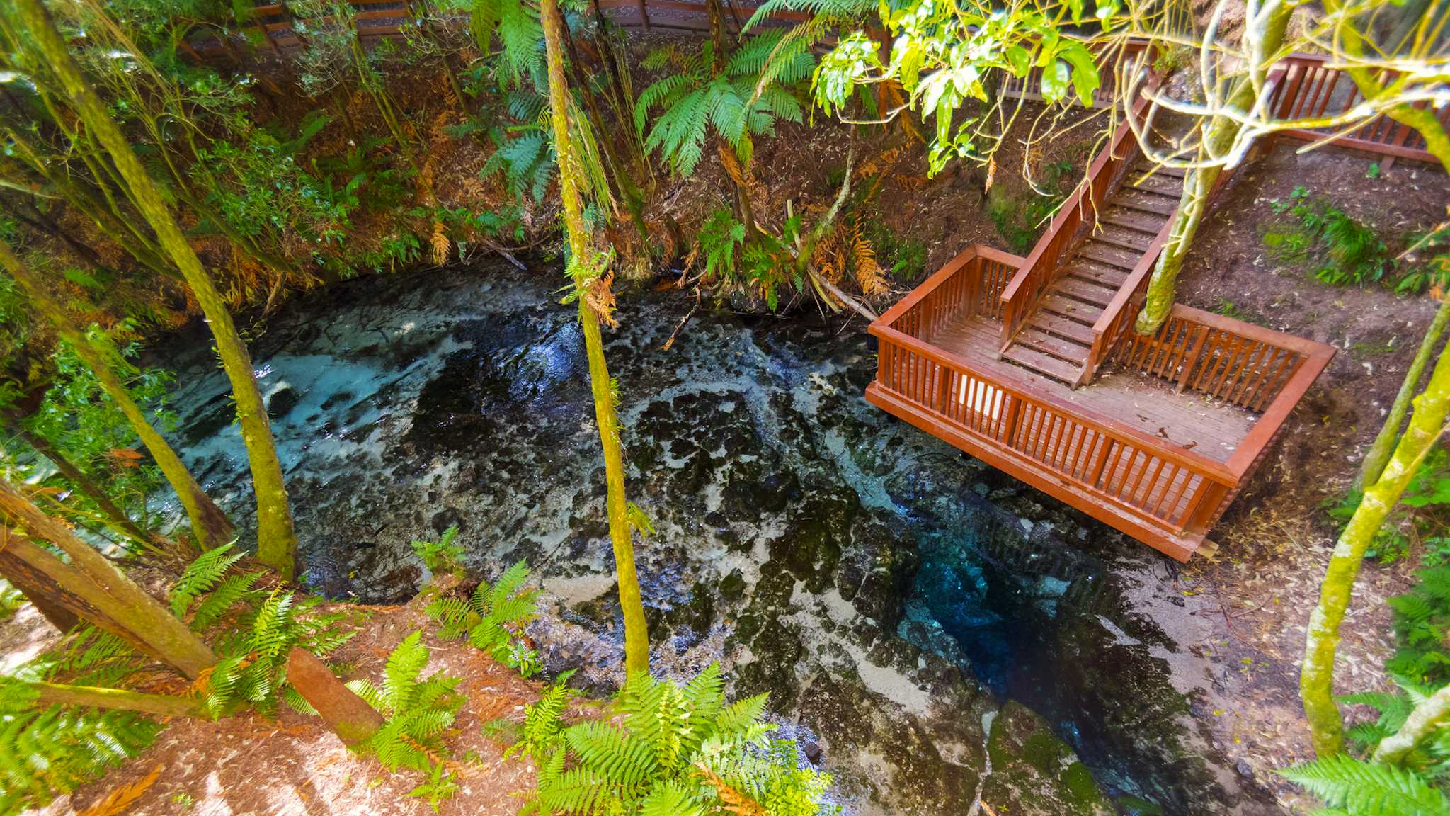 Hamurana Springs