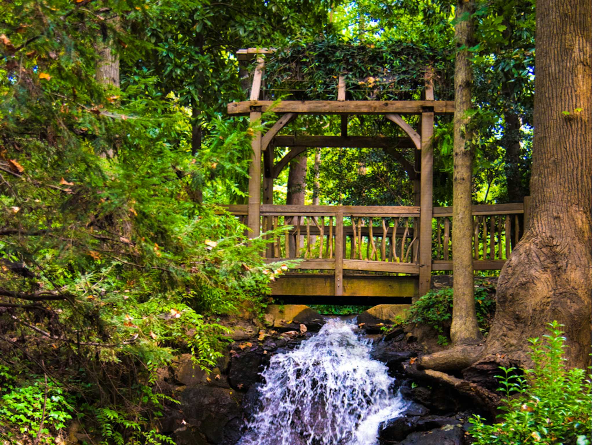 Hatcher Garden and Woodland Preserve