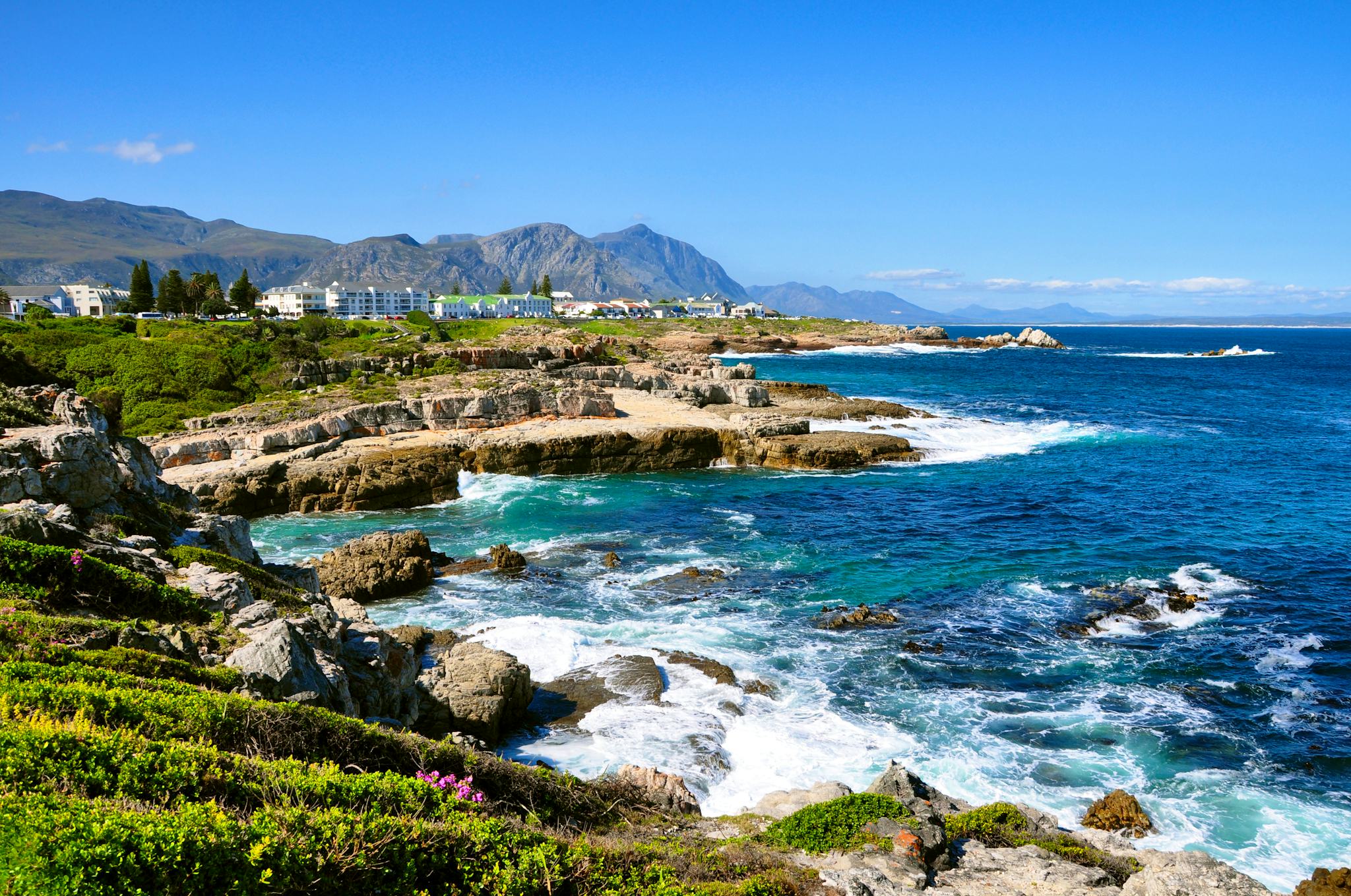 Cape Town to Hermanus: Private day trip