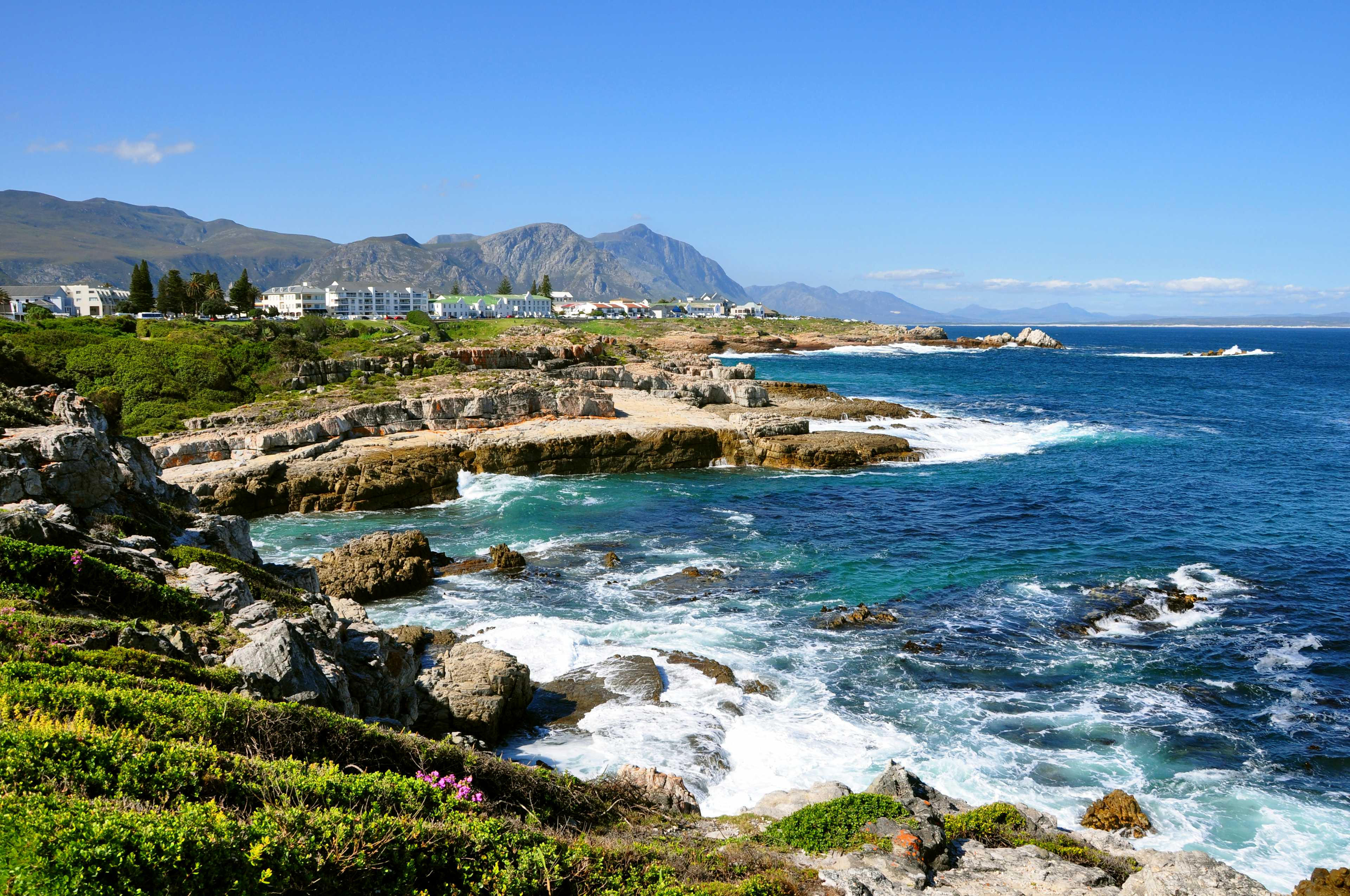 Hermanus