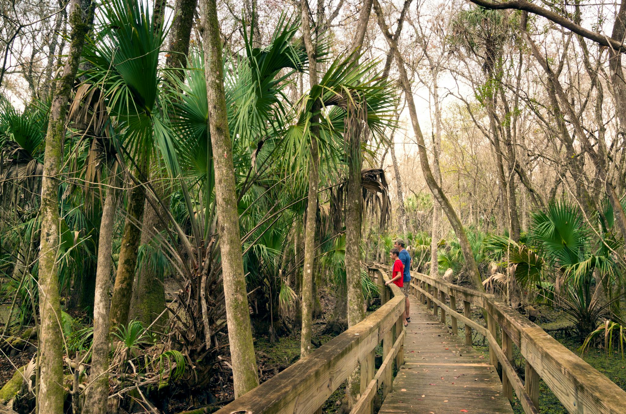 Parque Estatal Highlands Hammock