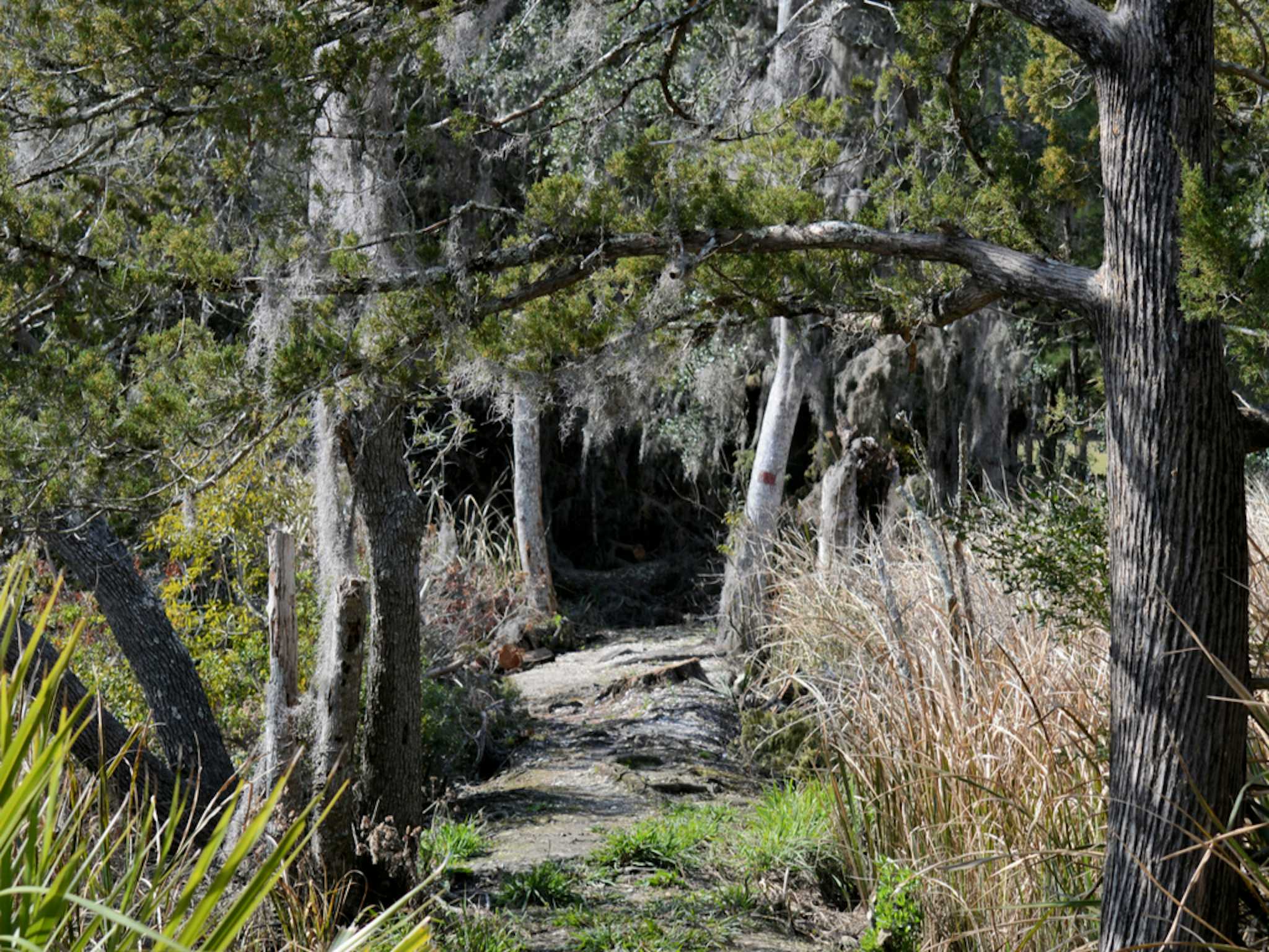 Hofwyl-Broadfield Plantage