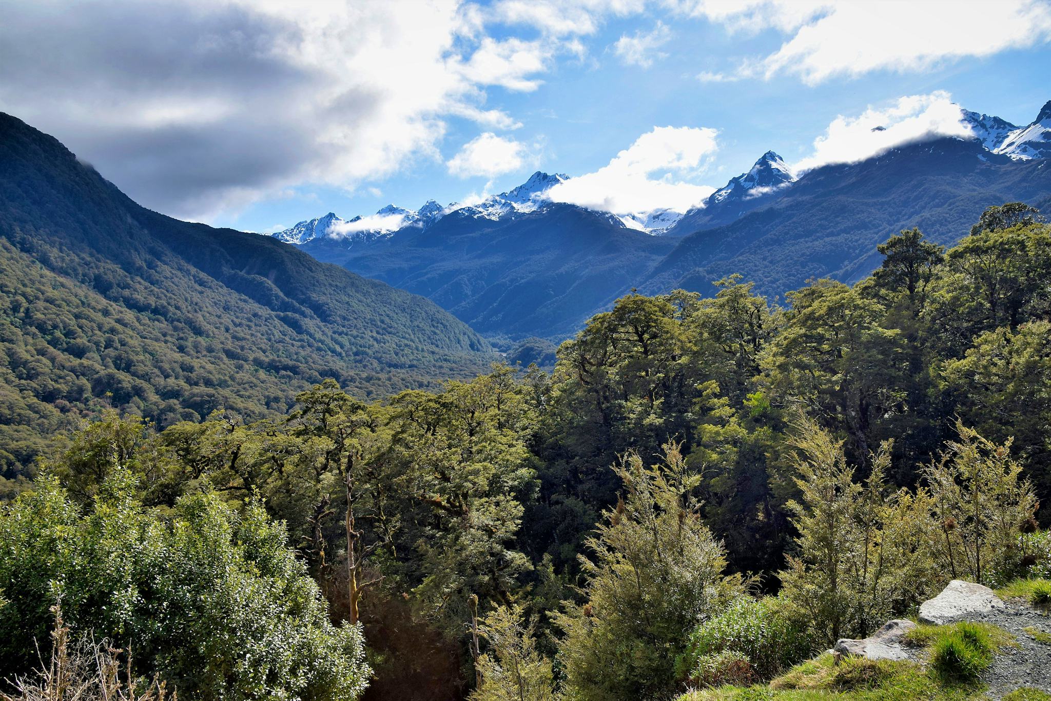 Hollyford Valley Lookout