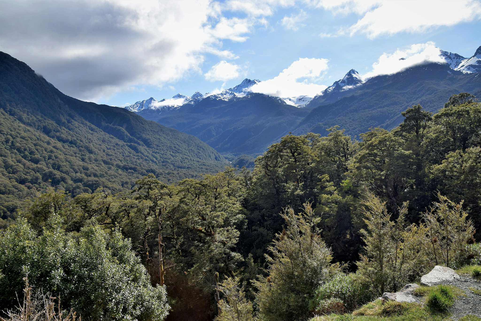 Hollyford Valley Lookout