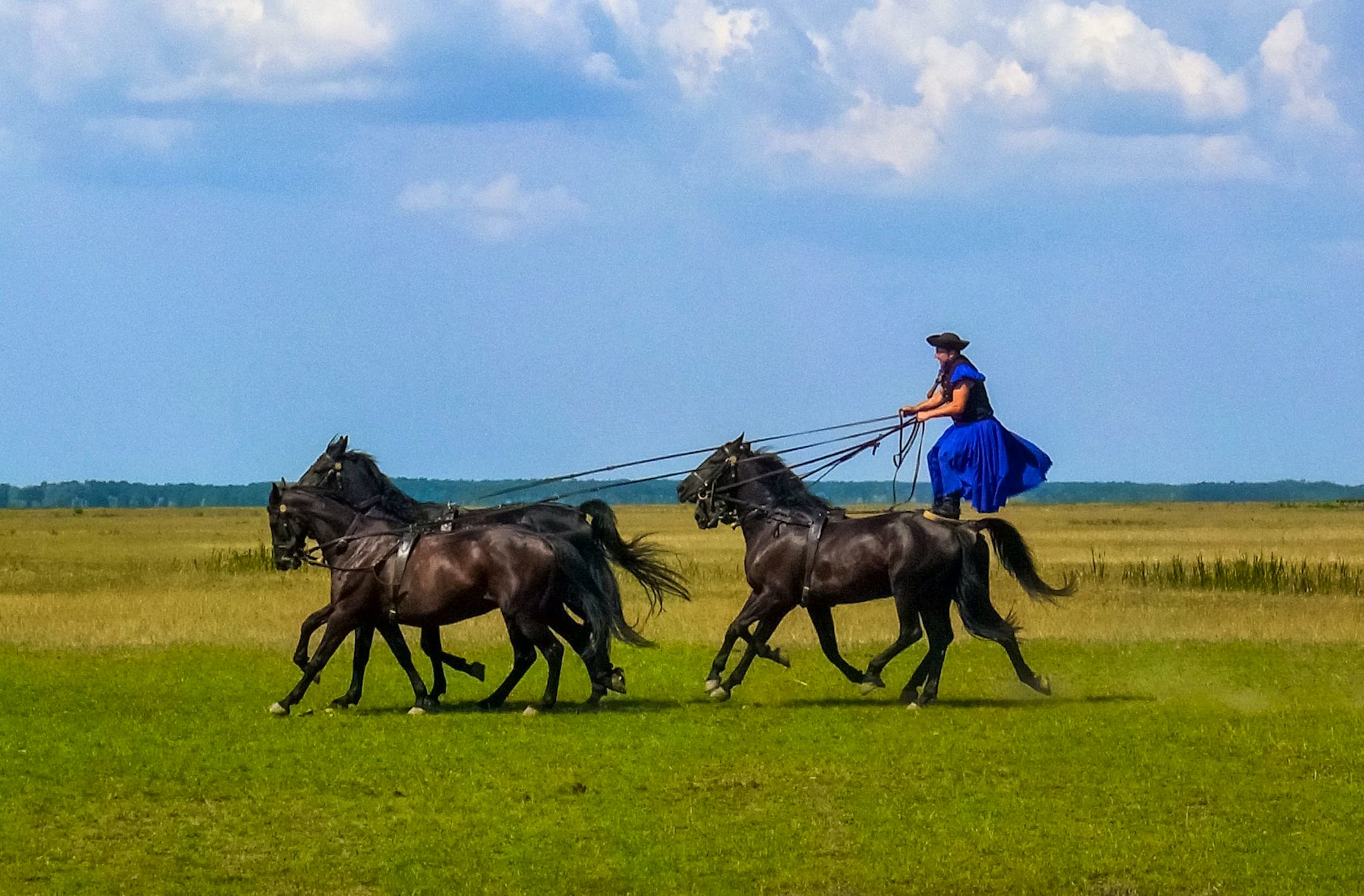 Granja de Estudio de Hortobágyi